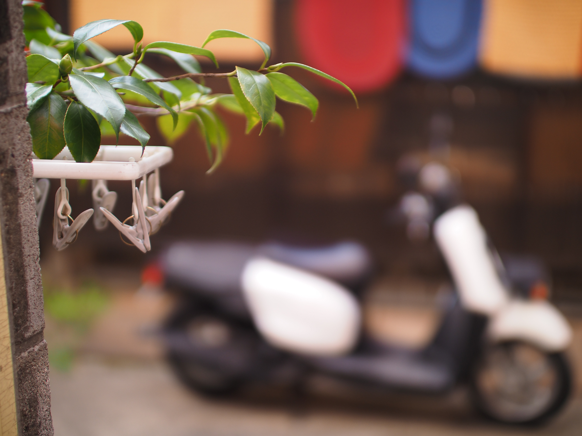 OM-D E-M1 Mark III　SUPER NOKTON 29mm F0.8 Aspherical　ISO 200　F0.8　1/640秒