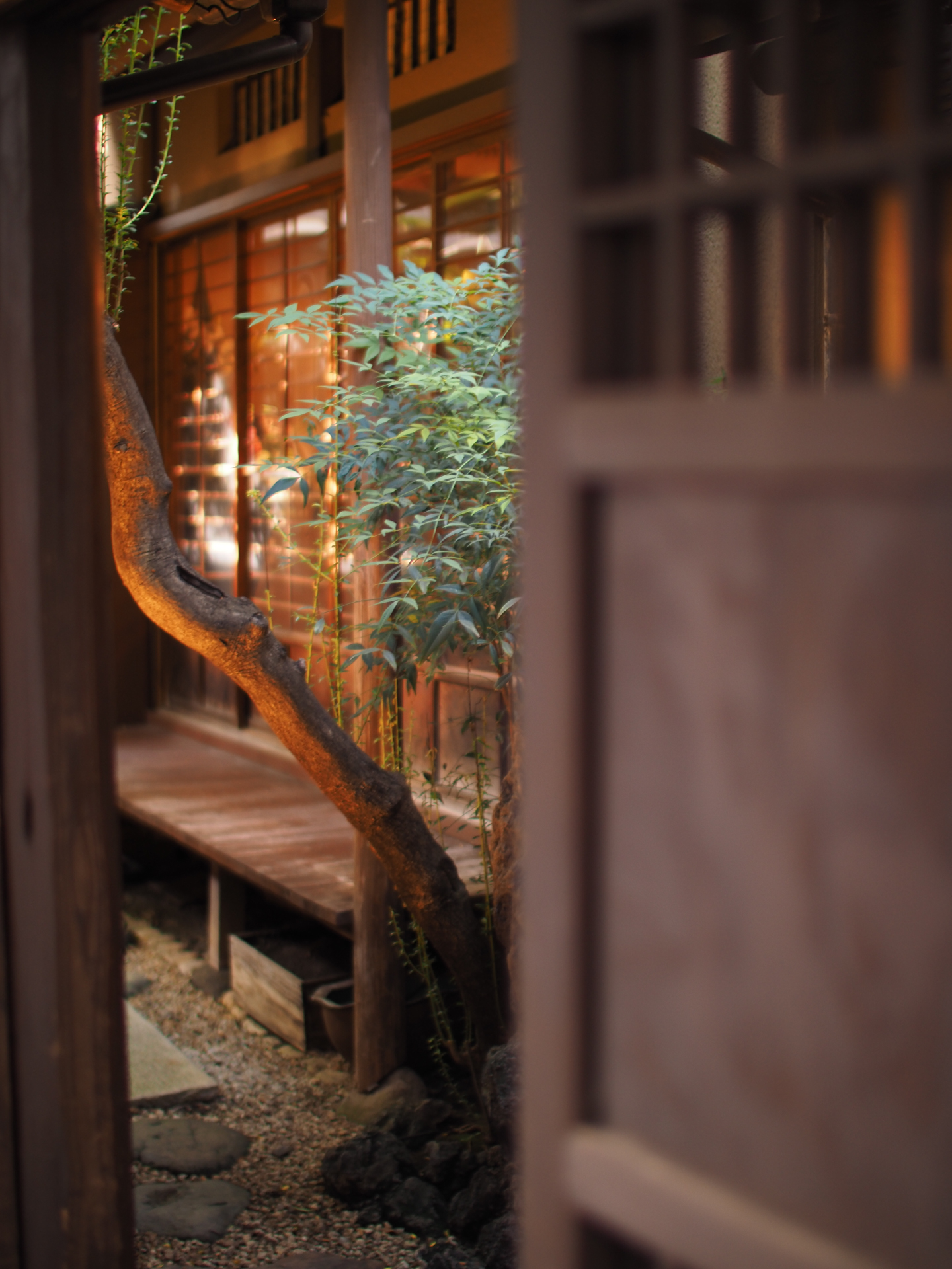 OM-D E-M1 Mark III　SUPER NOKTON 29mm F0.8 Aspherical　ISO 200　F0.8　1/50秒