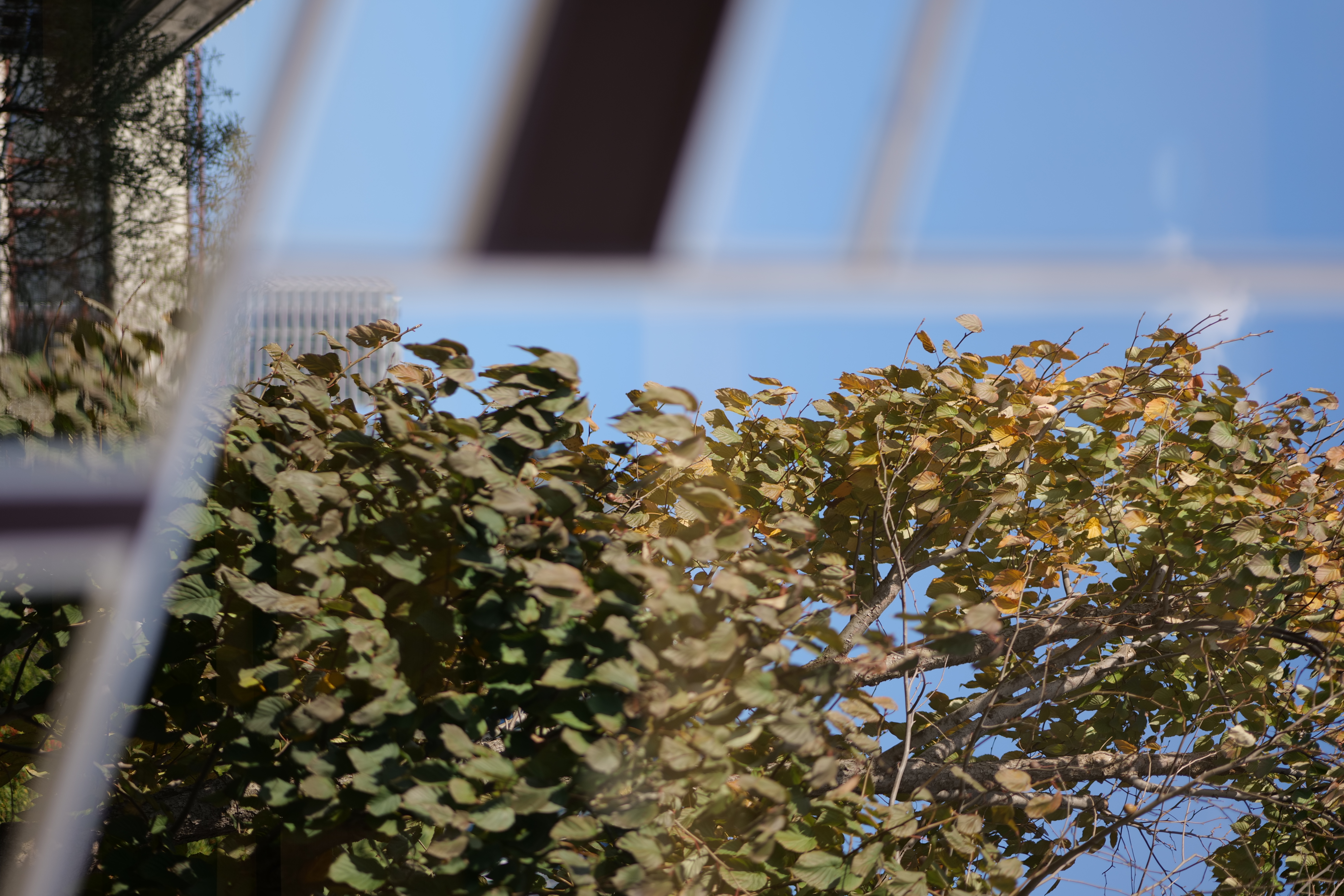 <span class="fnt-85">Panasonic LUMIX S5 / LUMIX S 85mm F1.8 / 絞り優先AE（F2・1/200秒・±0EV） / ISO 100</span>