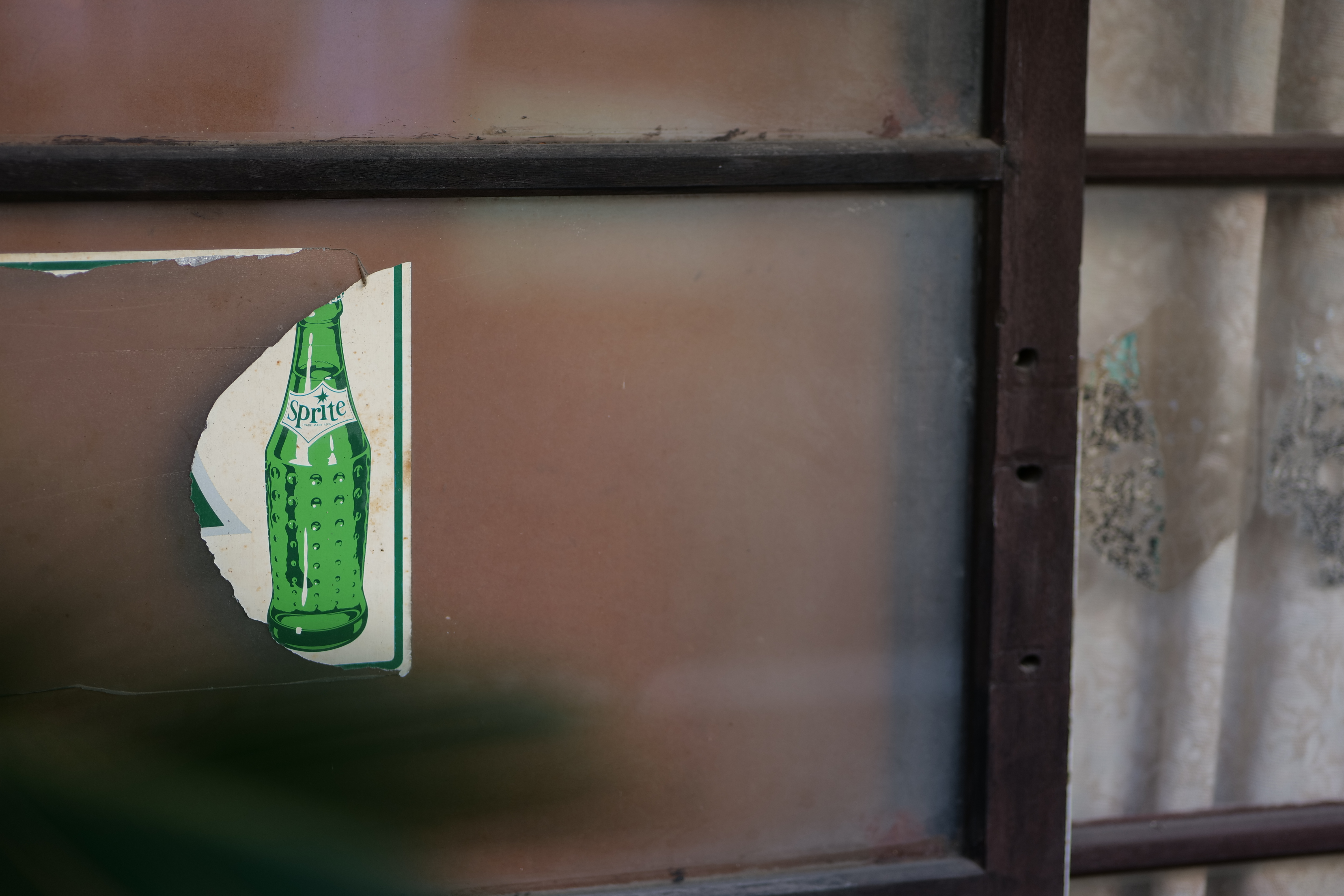 <span class="fnt-85">Panasonic LUMIX S5 / LUMIX S 85mm F1.8 / 絞り優先AE（F1.8・1/320秒・-0.7EV） / ISO 100</span>