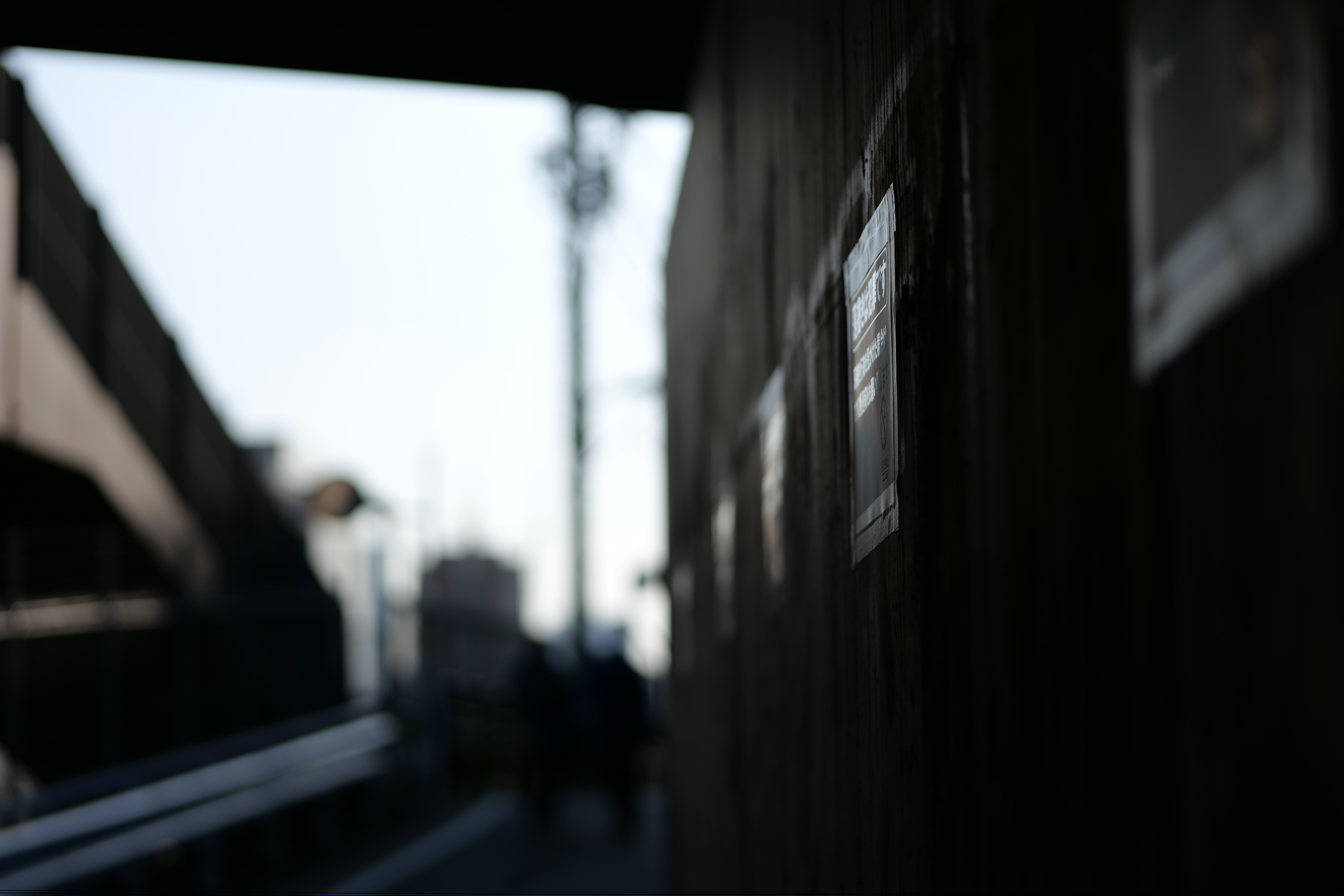 <span class="fnt-85">Panasonic LUMIX S5 / LUMIX S 85mm F1.8 / 絞り優先AE（F2・1/5,000秒・-0.3EV） / ISO 100</span>