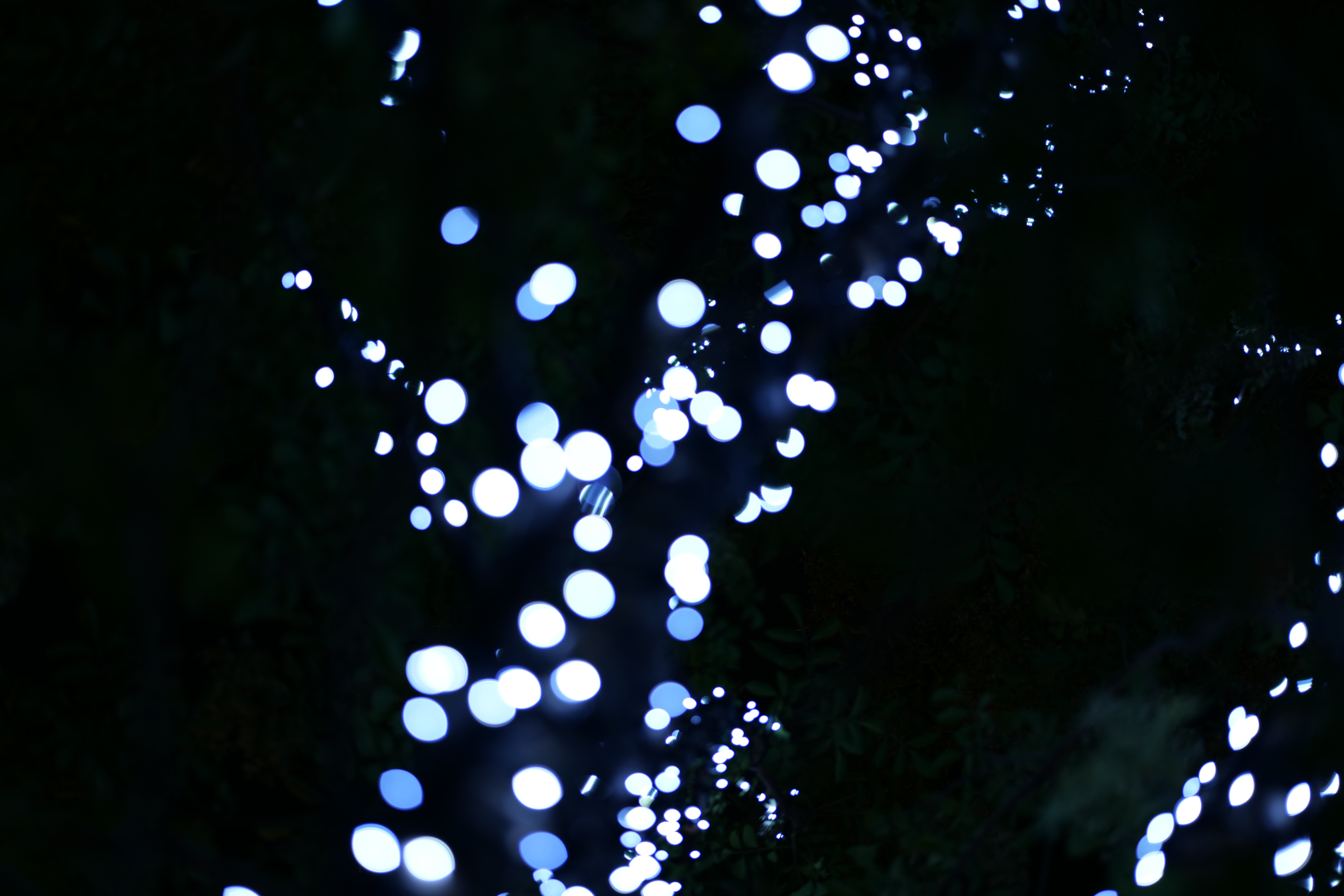 <span class="fnt-85">Panasonic LUMIX S5 / LUMIX S 85mm F1.8 / 絞り優先AE（F1.8・1/100秒・±0EV） / ISO 100</span>