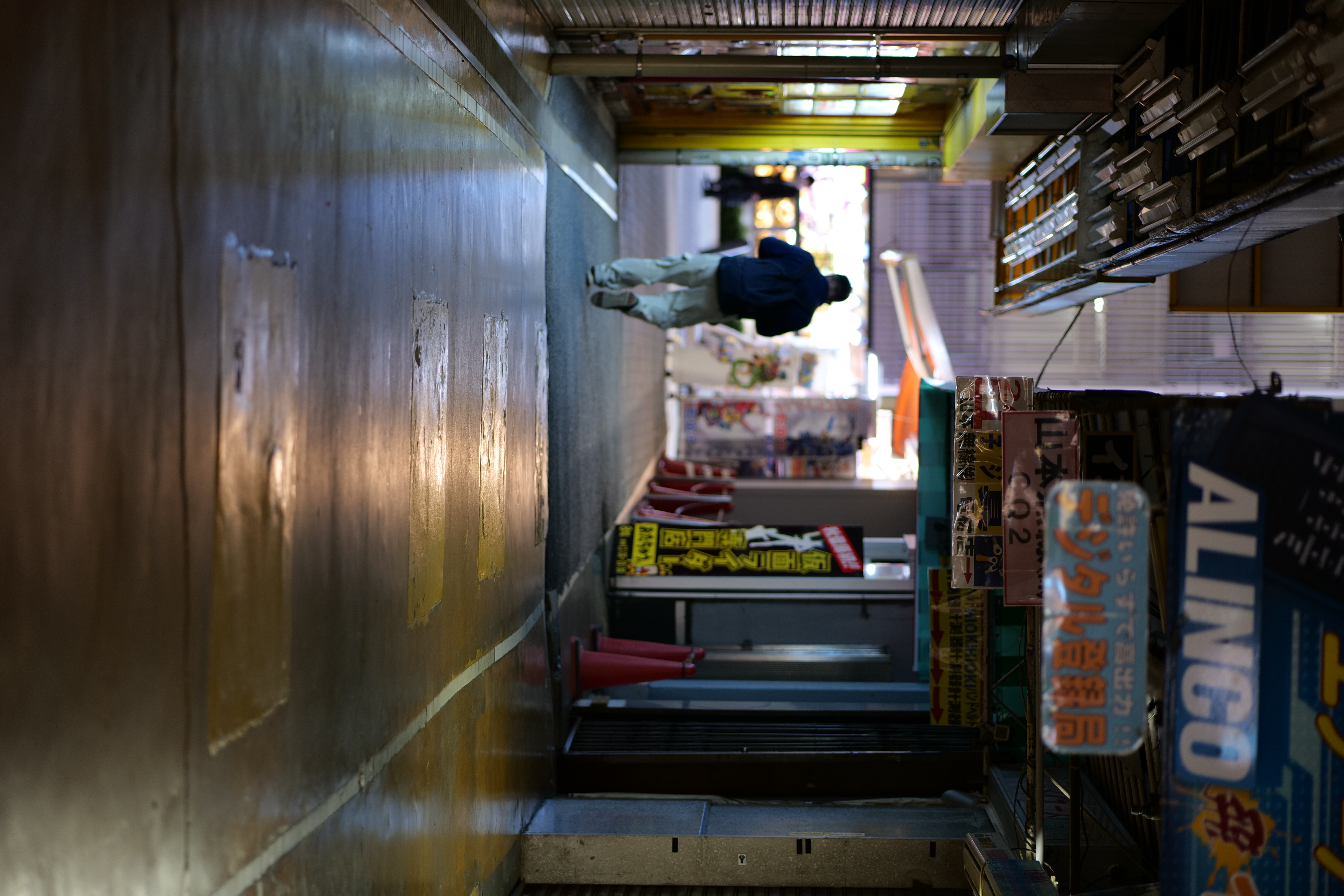 <span class="fnt-85">Panasonic LUMIX S5 / LUMIX S 85mm F1.8 / 絞り優先AE（F1.8・1/50秒・±0EV） / ISO 500</span>