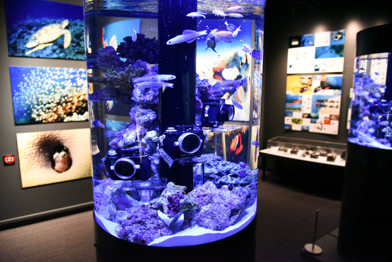 水槽に入れられたカメラは定期的に清掃をしているという。