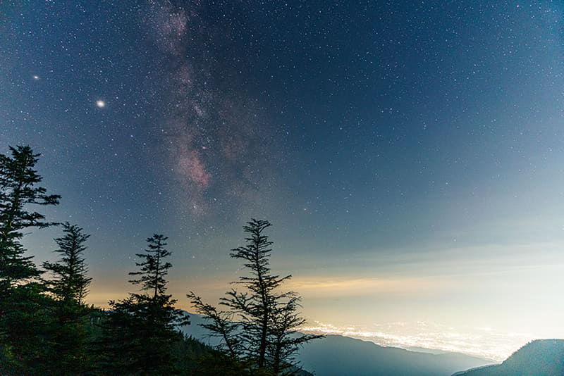 フィルターなし