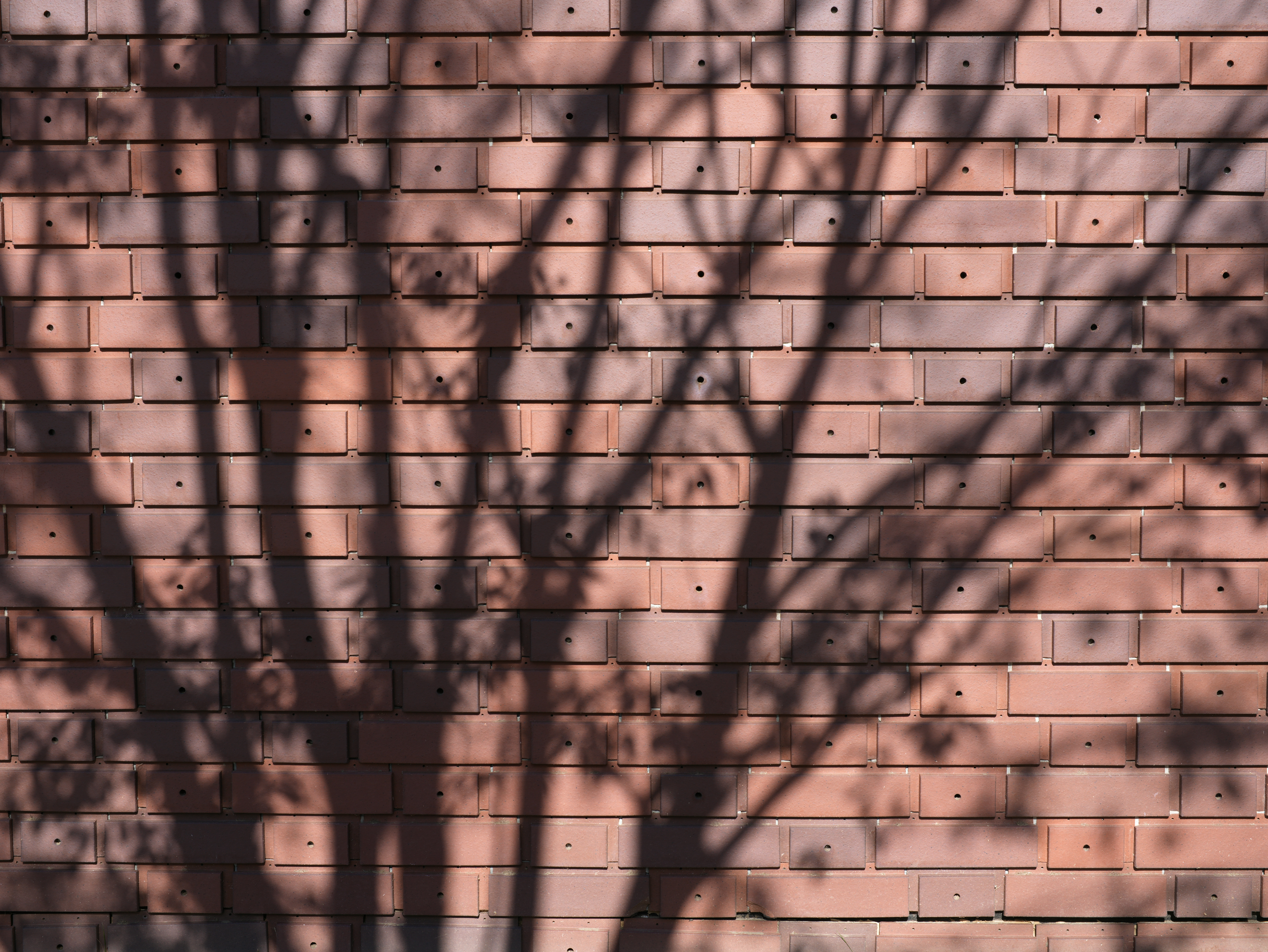 <span class="fnt-85">Hasselbald X1D II 50C＋XHコンバーター0,8＋HC 2,2/100（80mm：35mm判換算62mm相当）・絞り優先AE（F8・1/320秒・-0.7EV）・ISO 200</span>