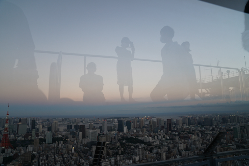 α7C / FE 24-70mm F2.8 GM / 24mm / マニュアル露出（1/125秒・F4.0） / ISO 500