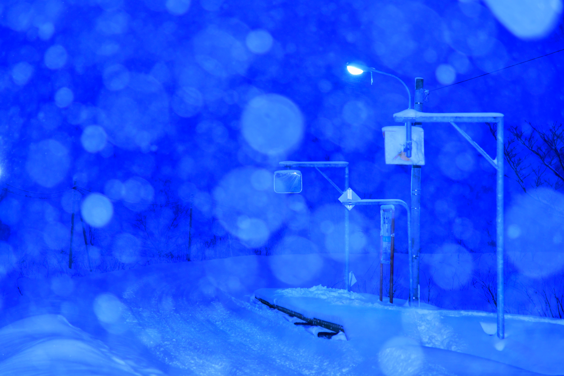 ニコンD850　AF-S NIKKOR 24-120mm f/4G ED VR（110mm）　絞り優先オート（F4.0、1/20秒）　ISO 400　WB:電球　スタンダード