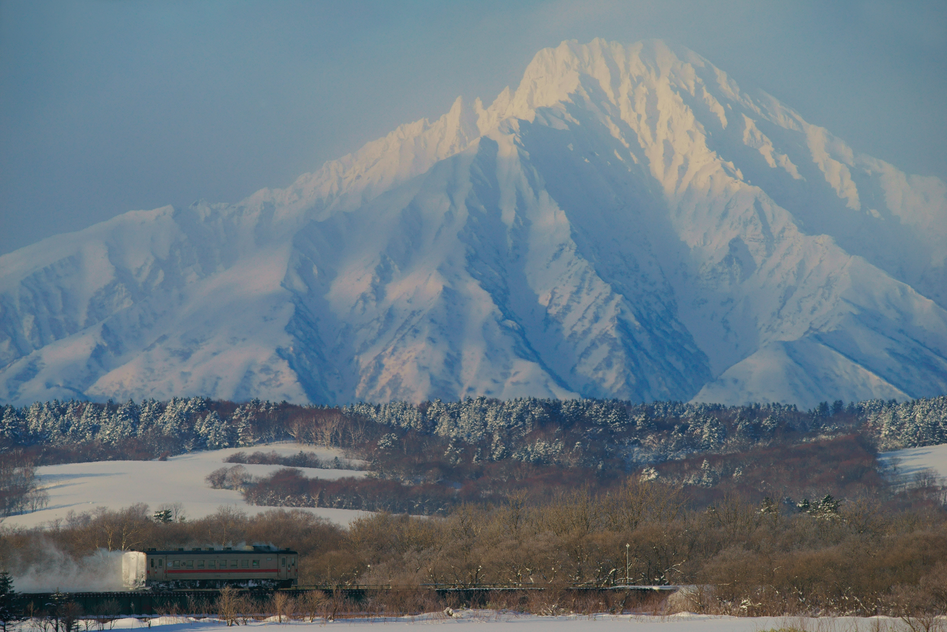 ソニーα7R　500mm F4 G SSM（500mm）　絞り優先オート（F8、1/1,000秒）　ISO 200　WB:太陽光