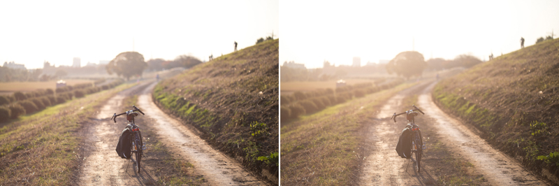 フィルターなし（左）・フィルターあり（右）