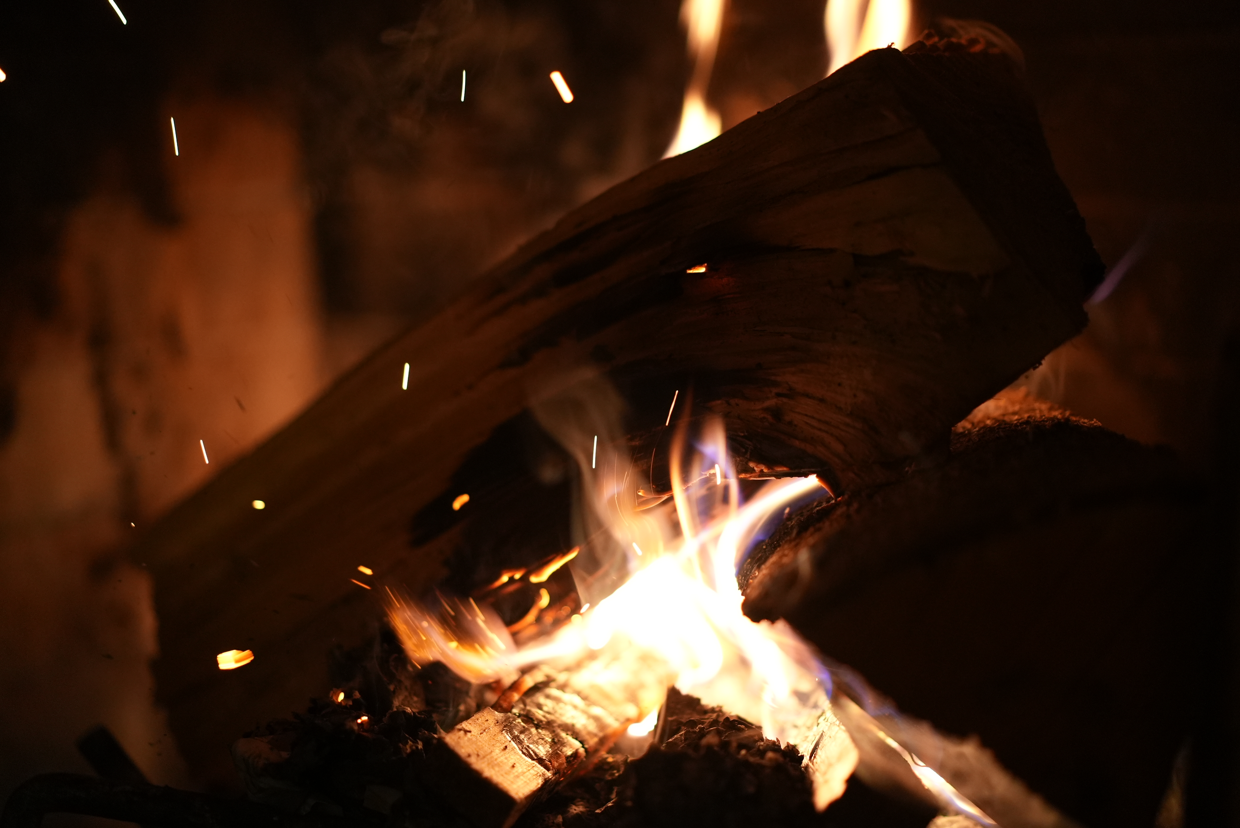 <span class="fnt-85">SONY α7S III / Sonnar T＊ FE 55mm F1.8 ZA / 絞り優先AE（F1.8・1/125秒・+0.3EV） / ISO 4000</span>