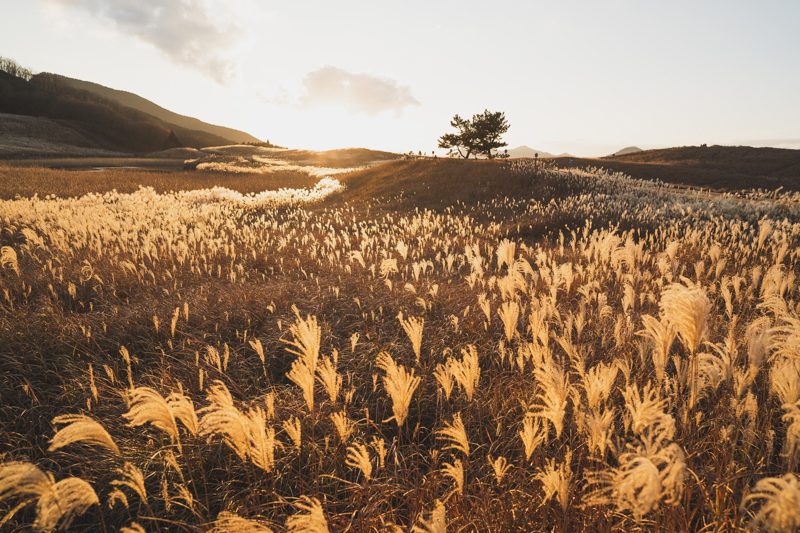 α7C / FE 20mm F1.8 G / マニュアル露出（1/800秒・F2.8） / ISO 100