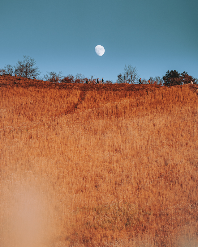 α7C / FE 135mm F1.8 GM / マニュアル露出（1/1,000秒・F1.8） / ISO 100
