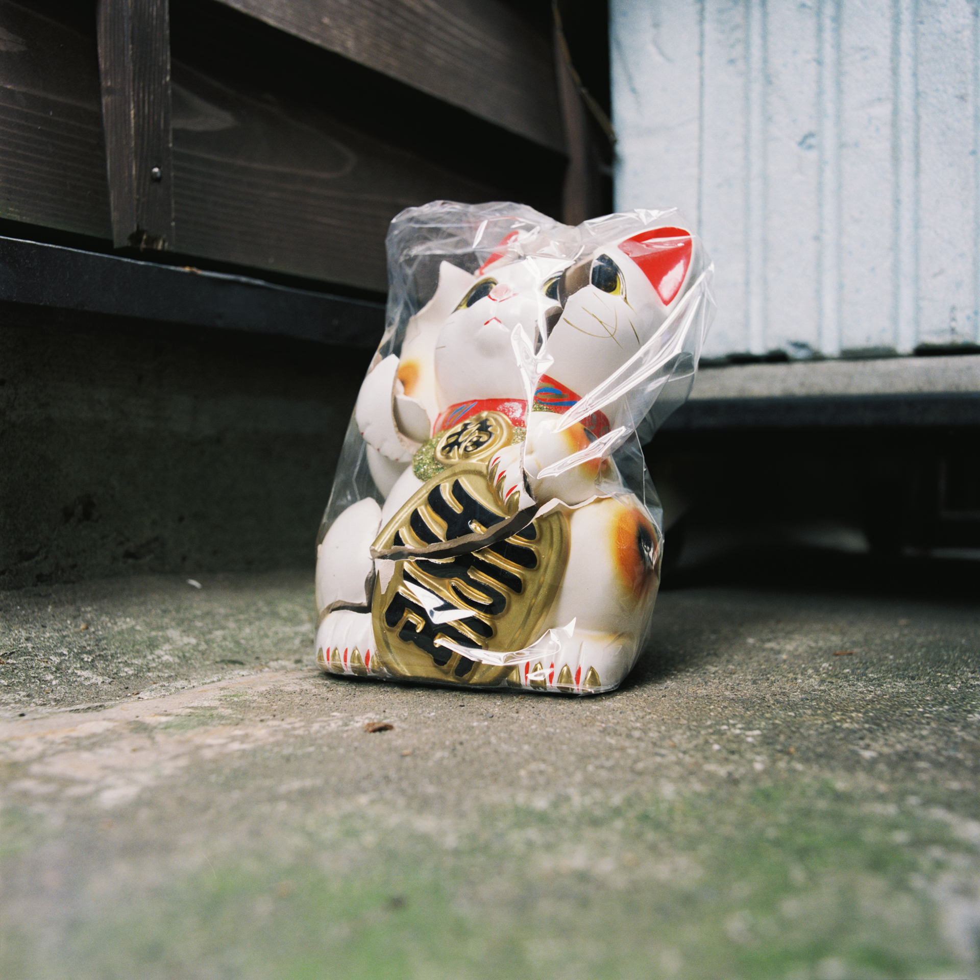 街中でモータードライブ内蔵のハッセルなど使わなくてもいいじゃんと思われるかもしれませんが、動作の楽しさや抜群の安定感があるんですよね。この写真はカメラを地べたに置いてシャッターを切りました。ハッセルブラッド500EL/M　マクロプラナーT* CF120mm F4（F5.6・1/60秒）フジカラープロ400H