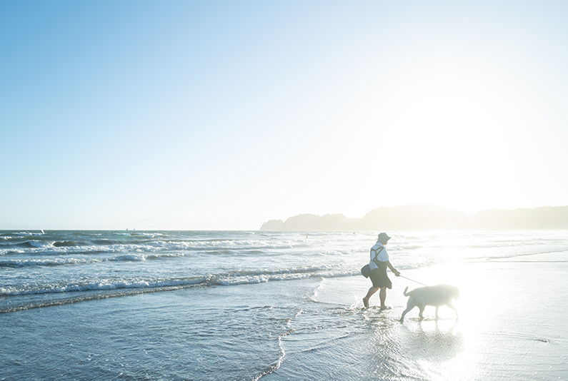 海辺を散歩する人と犬を撮りました。あふれるほどの光に包まれた一人と一匹がとてもあたたかく目に映りました。写真を確認すると、自分の感じた以上にその空気感が写っていて「いいな」と思いました。<br>LEICA Q2 / SUMMILUX 1:1.7/28 ASPH. / マニュアル露出（F5.6・1/400秒・補正なし） / ISO 100