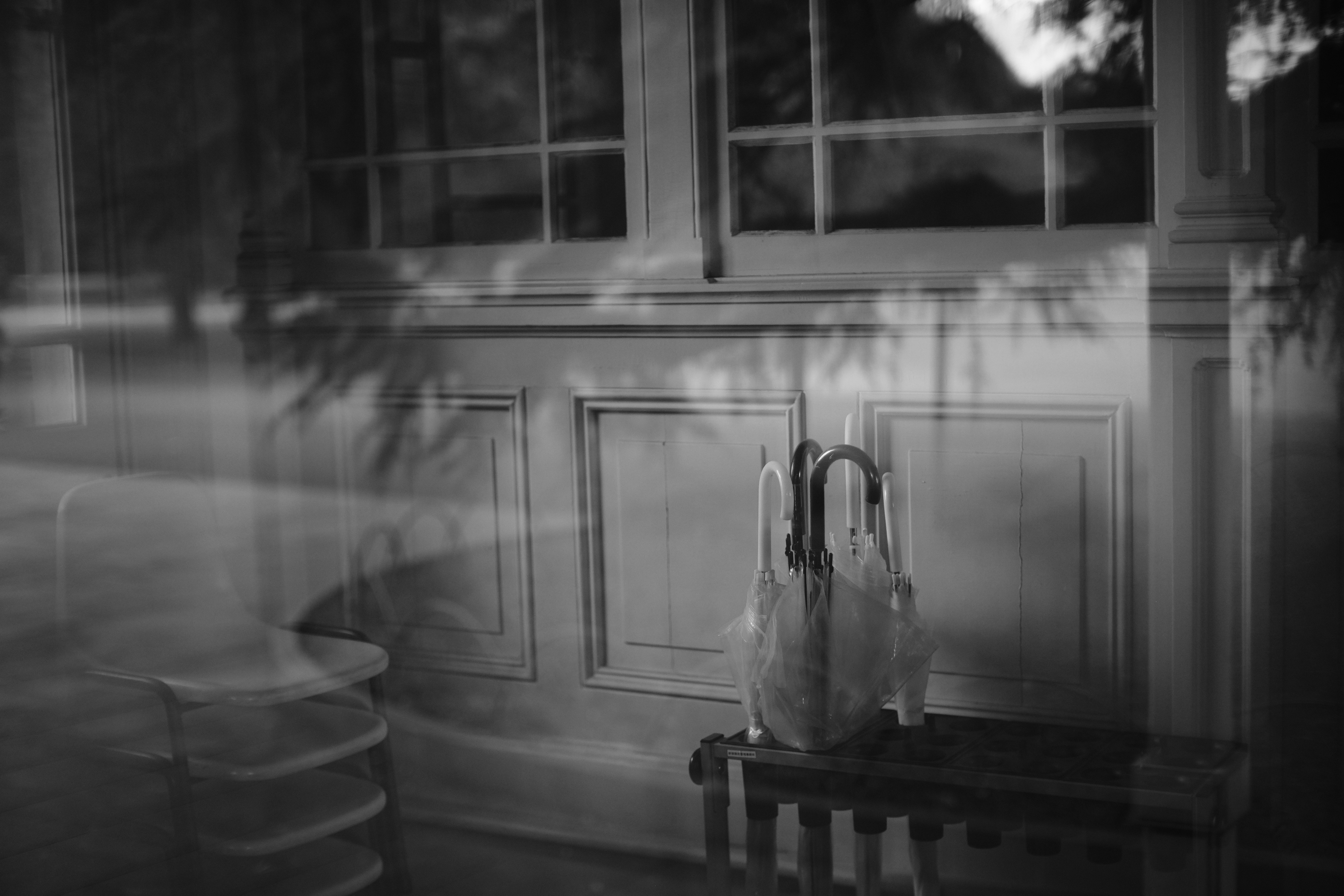 <span class="fnt-85">X-H1 / SPEEDMASTER 35mmF0.95 II / 絞り優先AE（F0.95・1/400秒・-0.7EV） / ISO 400</span>