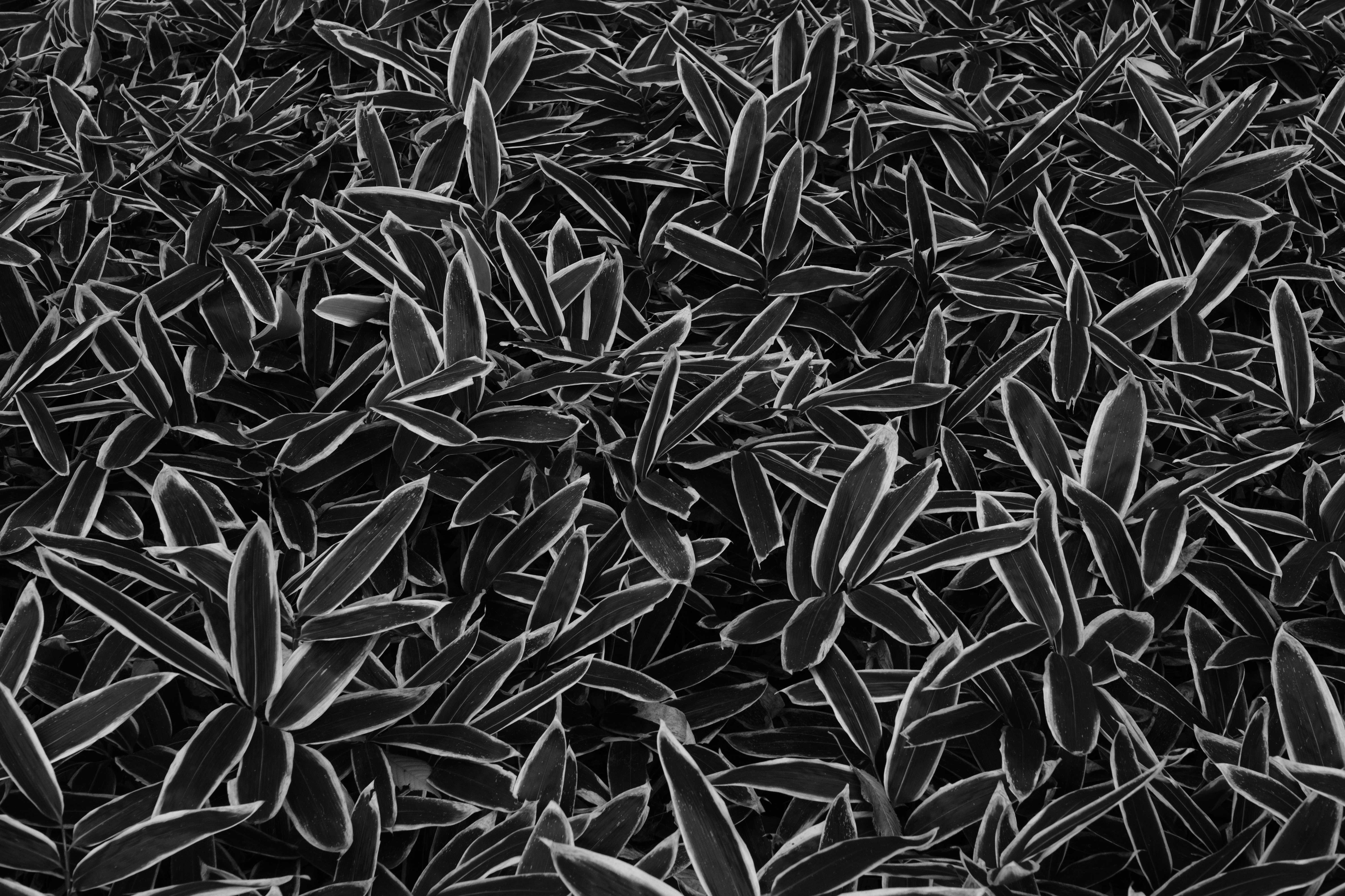 <span class="fnt-85">X-H1 / TTArtisan 35mm f/1.4 C / 絞り優先AE（F4・1/80秒・-1.3EV） / ISO 400</span>