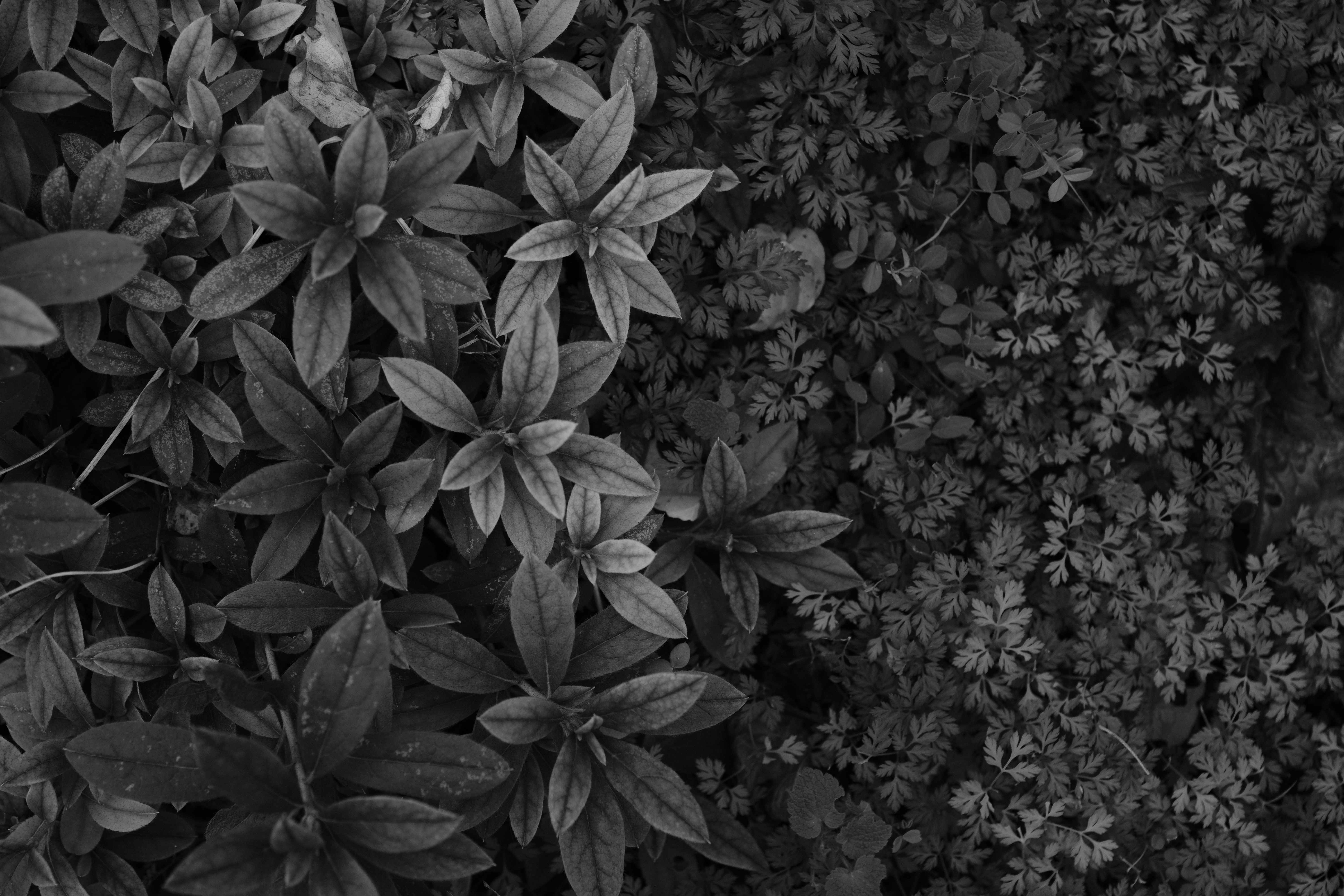 <span class="fnt-85">X-H1 / 7Artisans 35mm F2 / 絞り優先AE（F2・1/320秒・-0.7EV） / ISO 400</span>