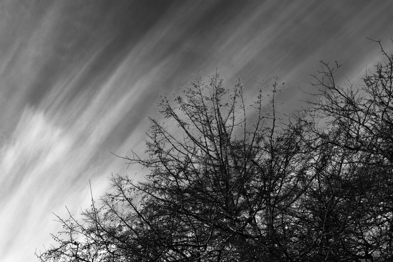 （撮影：GOTO AKI）<br><span class="fnt-85"><font color=gray>EOS R5 / RF50mm F1.8 STM / FVモード（F5.6・1/2,000秒） / ISO 200</span></font>