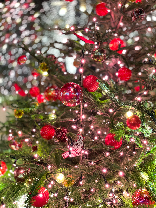 ポートレートモードを試してみた。背景に点光源があると、口径食を再現したようなラグビーボール型のボケになる。芸が細かい？（左：画面上のスライダーをF1.4に設定、右：同F5.6）