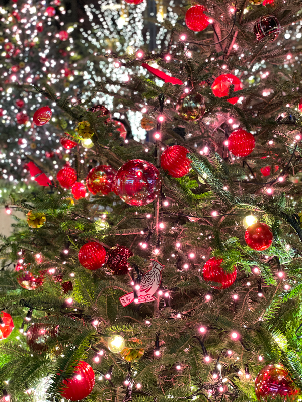 ポートレートモードを試してみた。背景に点光源があると、口径食を再現したようなラグビーボール型のボケになる。芸が細かい？（左：画面上のスライダーをF1.4に設定、右：同F5.6）