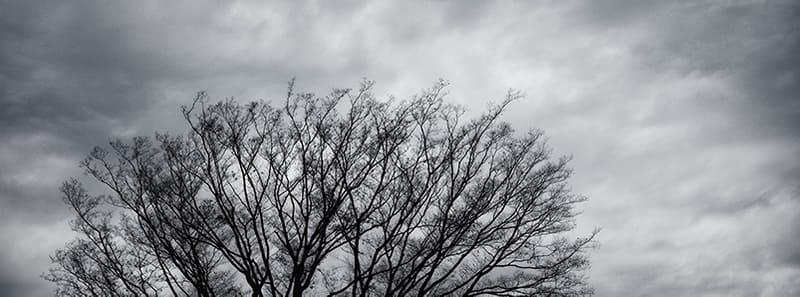 ディティール描写が本当に凄いし、曇天のトーンもメチャクチャ写ってる。しかも立体感があるからキモチイイ。 <br>GFX50R / GF50mmF3.5R LM WR / マニュアル露出（F5.6・1/1,000秒・+1.0EV） / ISO 1600