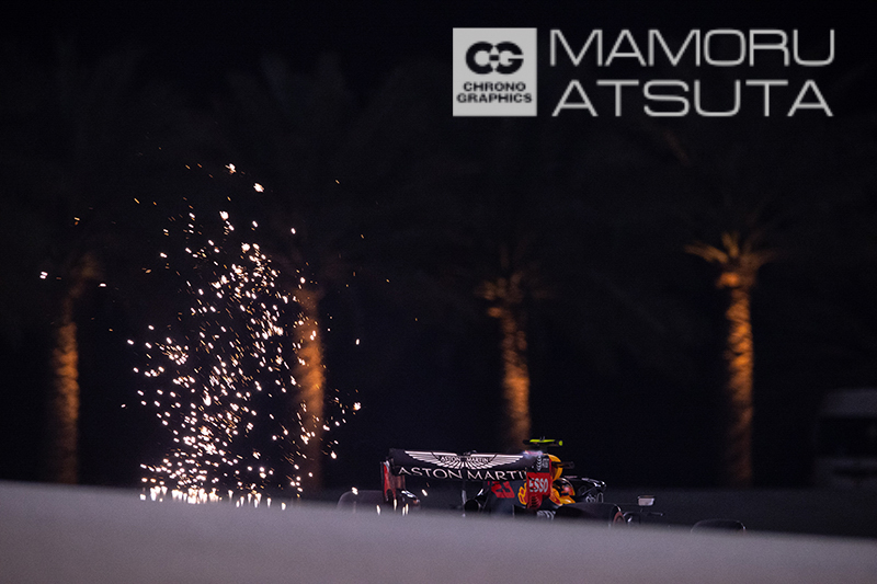 EOS-1D X Mark III　EF400mm F2.8L III USM＋EF2X Ⅲ （F6.3・1/640秒）ISO 5000