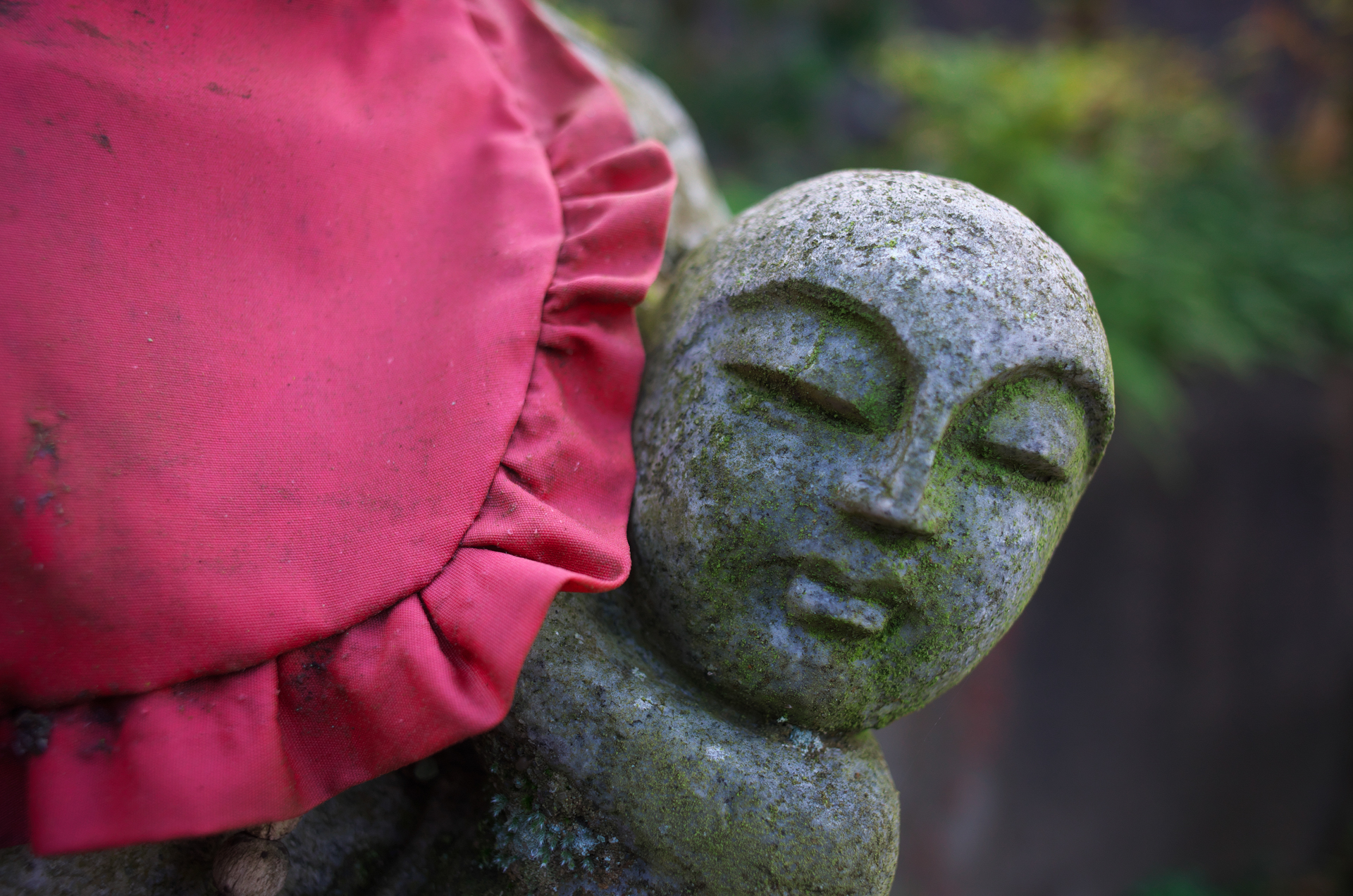 マクロモードに切り替えて、絞り開放で撮影。合焦点のシャープネスも問題なく。性能は落ちません。ボケ味もまずまずですね。<br>COOLPIX A（F2.8・1/400秒）ISO 400