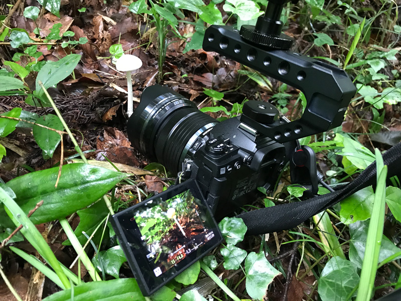 実際に撮影しているところ。ミニ三脚だとこの高さからの撮影ができない