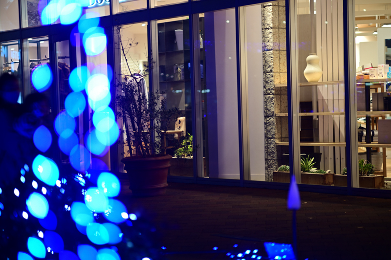 写真6：口径食による"ラグビーボール型"のボケが出た例。前景に入れたイルミネーションのボケが円形とならない