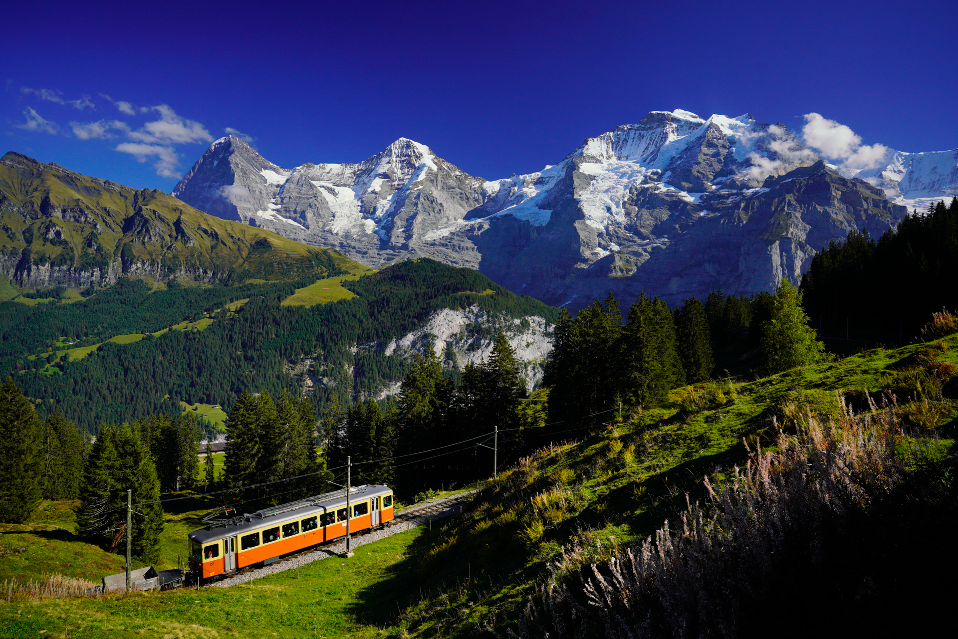 ソニーα7R III　FE 24mm F1.4 GM（24mm）　絞り優先オート（F6.3、1/800秒）　ISO 200　WB:太陽光　風景