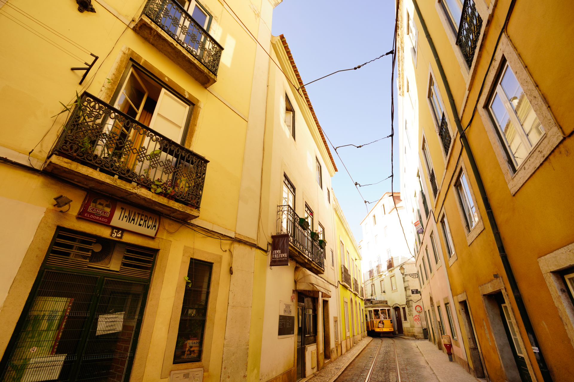 ソニーα7R IV　FE 16-35mm F2.8 GM（16mm）　絞り優先オート（F8、1/250秒）　ISO 400　WB:日陰　風景