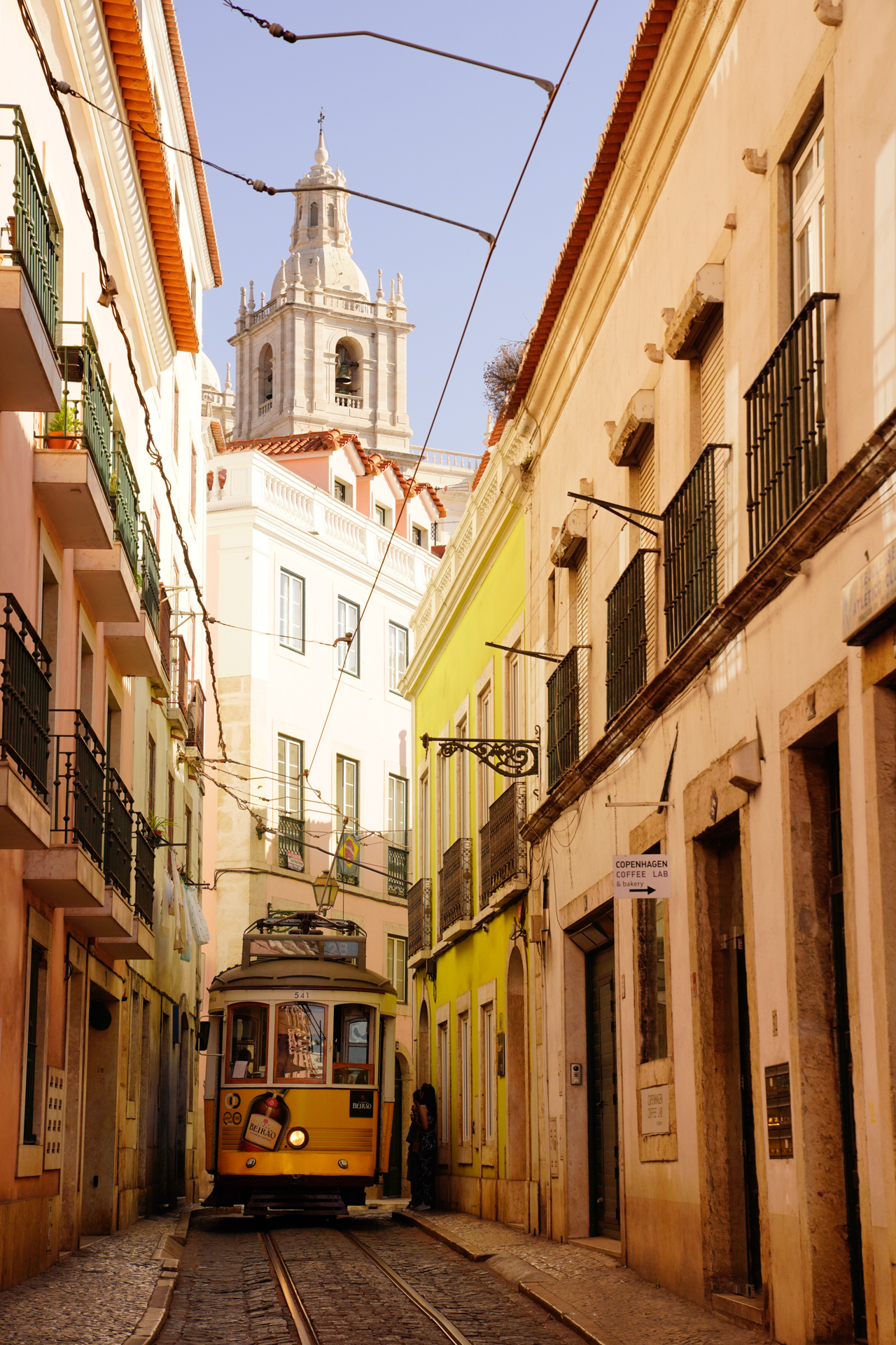 ソニーα7R IV　FE 24-70mm F2.8 GM（70mm）　絞り優先オート（F7.1、1/800秒）　ISO 400　WB:日陰　風景