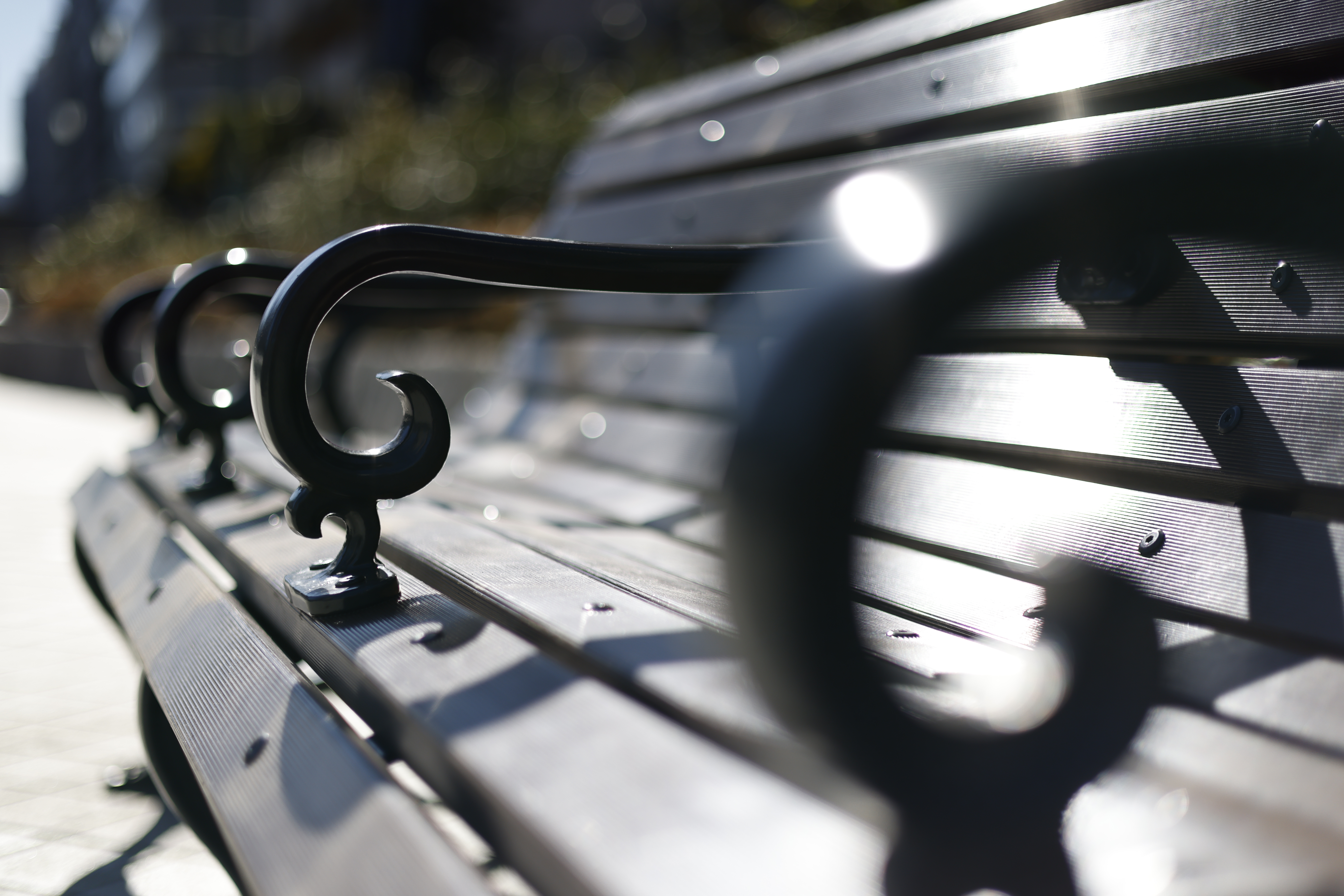 RF50<br>共通撮影データ：EOS R5・マニュアル露出（絞りF1.8・1/6,000秒）・ISO 100・WBオート・JPEG