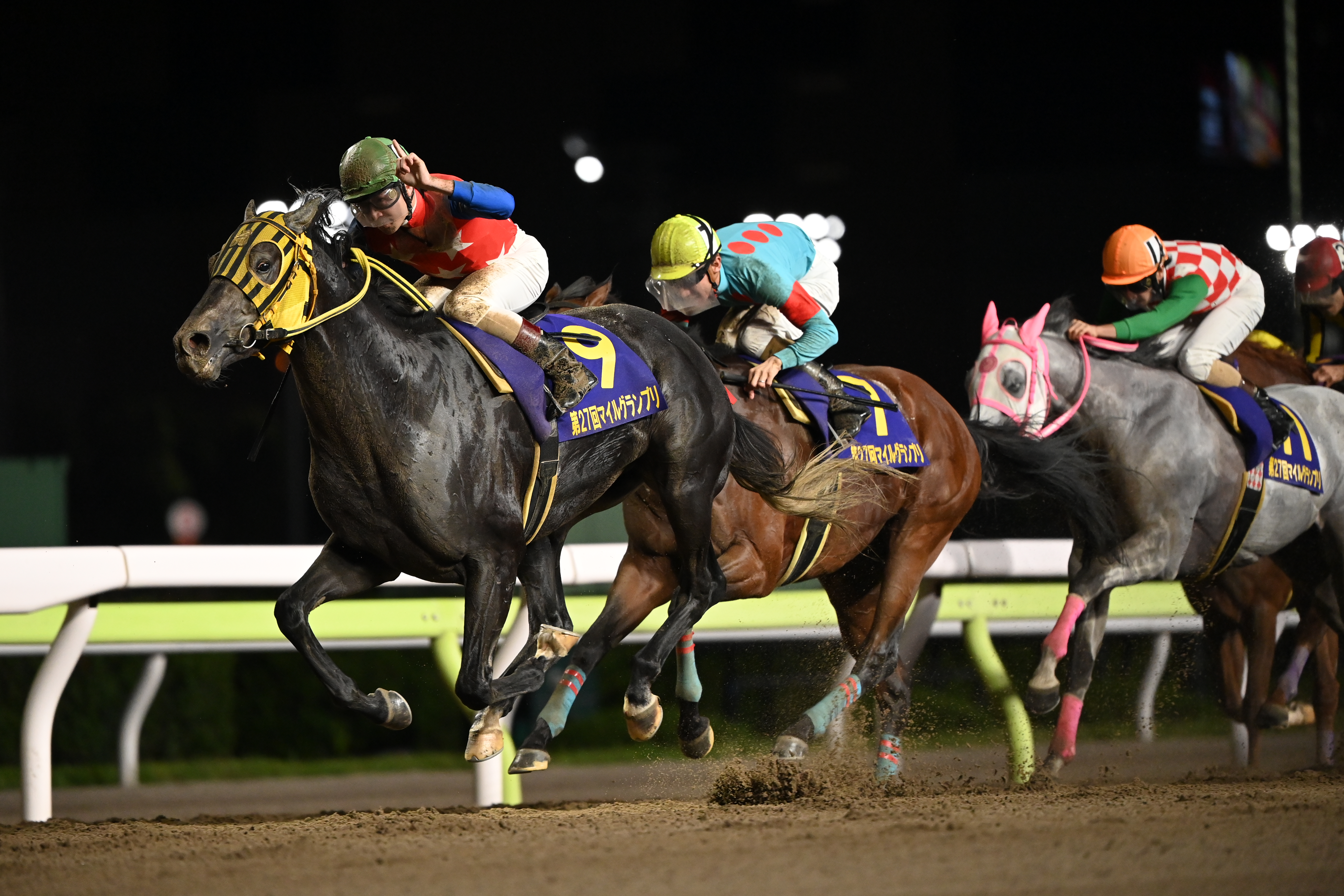 <span class="fnt-85">D6 / AF-S NIKKOR 180-400mm f/4E TC1.4 FL ED VR（300mm） / シャッター優先AE（1/1,600秒・F4・-0.7EV） / ISO 5600</span>