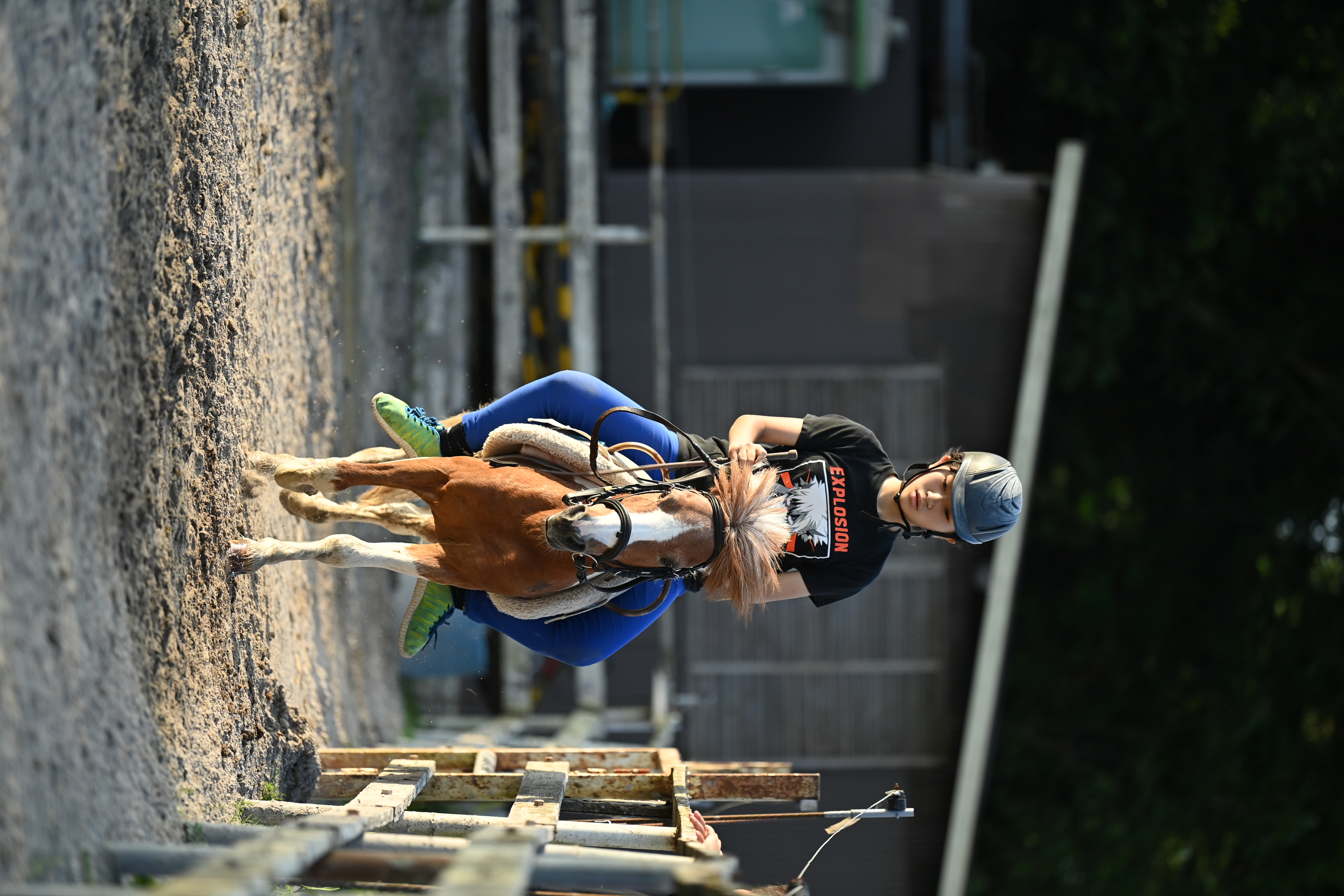 <span class="fnt-85">D6 / AF-S NIKKOR 70-200mm f/2.8E FL ED VR（190mm） / シャッター優先AE（1/1,600秒・F2.8・-0.3EV） / ISO 320</span>