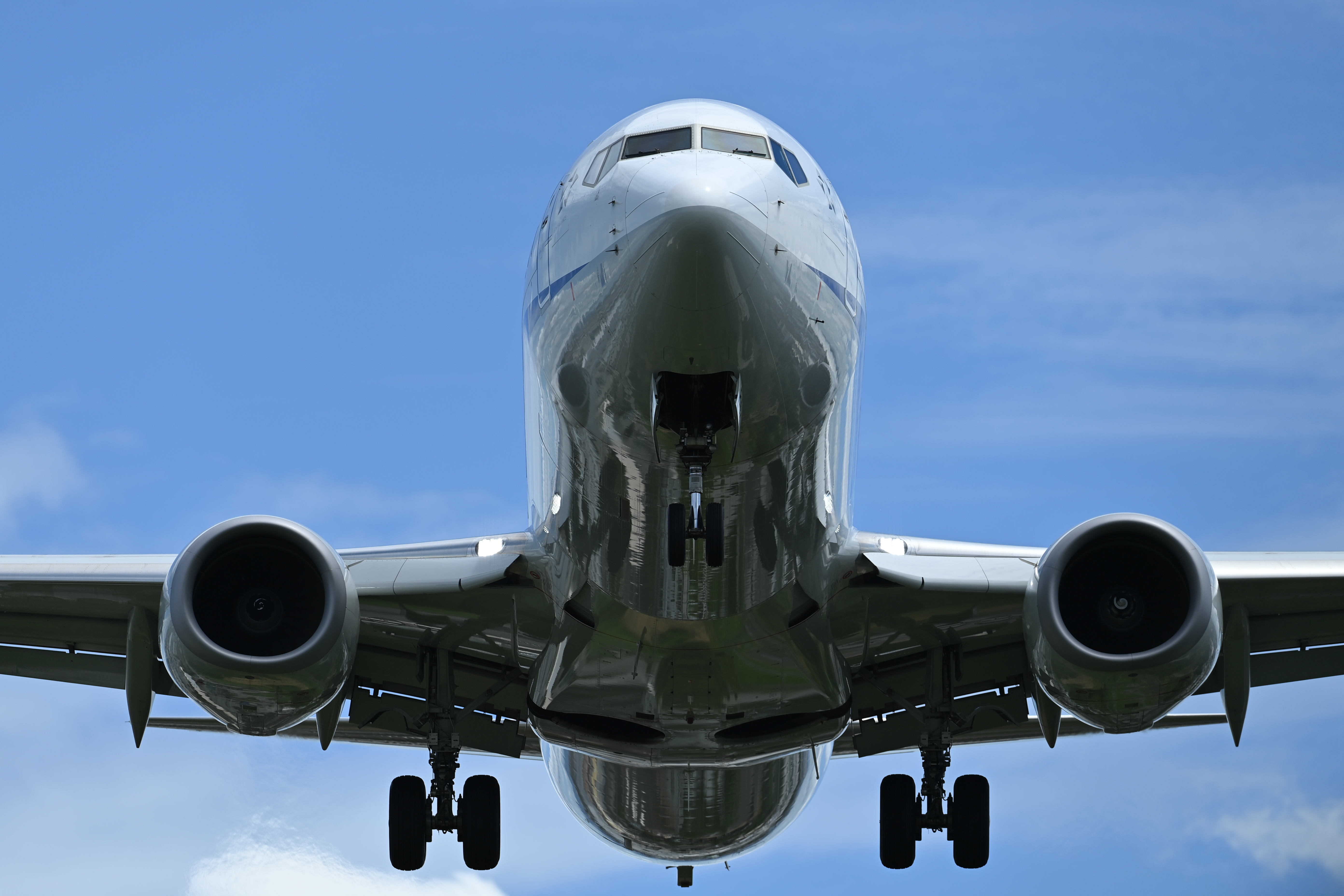 <span class="fnt-85">D6 / AF-S NIKKOR 400mm f/2.8E FL ED VR / シャッター優先AE（1/1,600秒・F5・±0EV） / ISO 100</span>