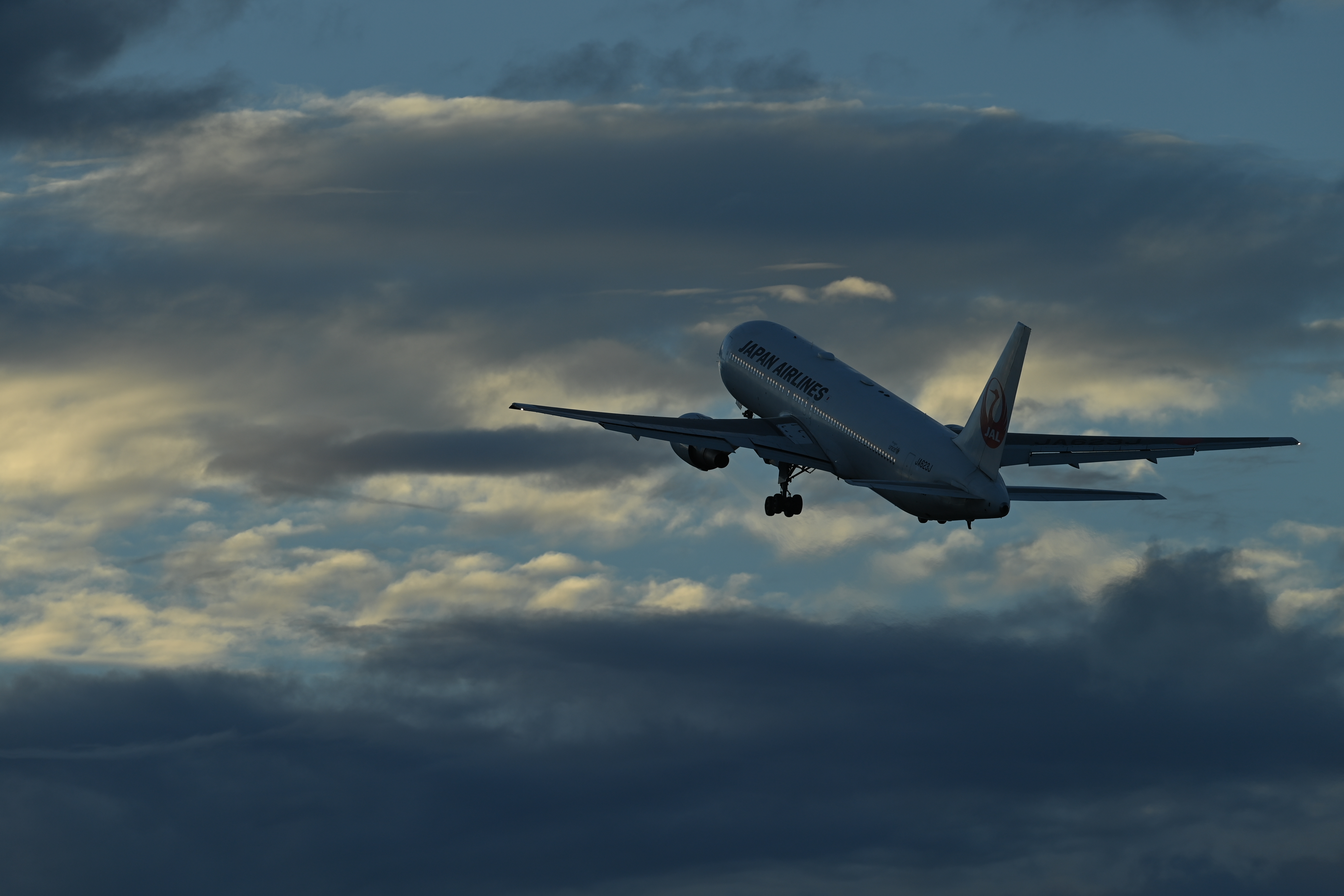 <span class="fnt-85">D6 / AF-S NIKKOR 400mm f/2.8E FL ED VR / シャッター優先AE（1/320秒・F8・-0.7EV） / ISO 100</span>