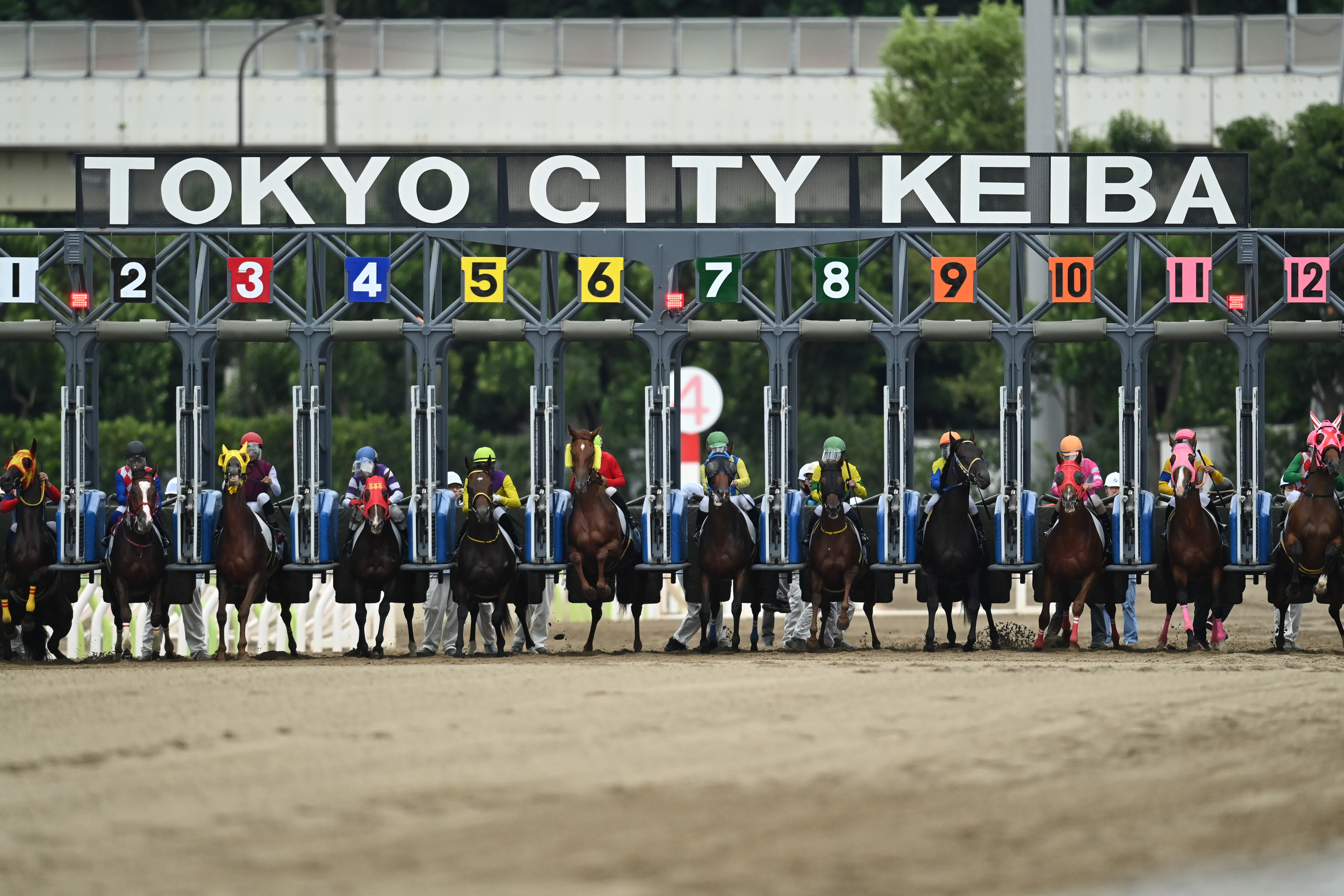 <span class="fnt-85">D6 / AF-S NIKKOR 800mm f/5.6E FL ED VR / シャッター優先AE（1/1,600秒・F5.6・+0.3EV） / ISO 2500</span>