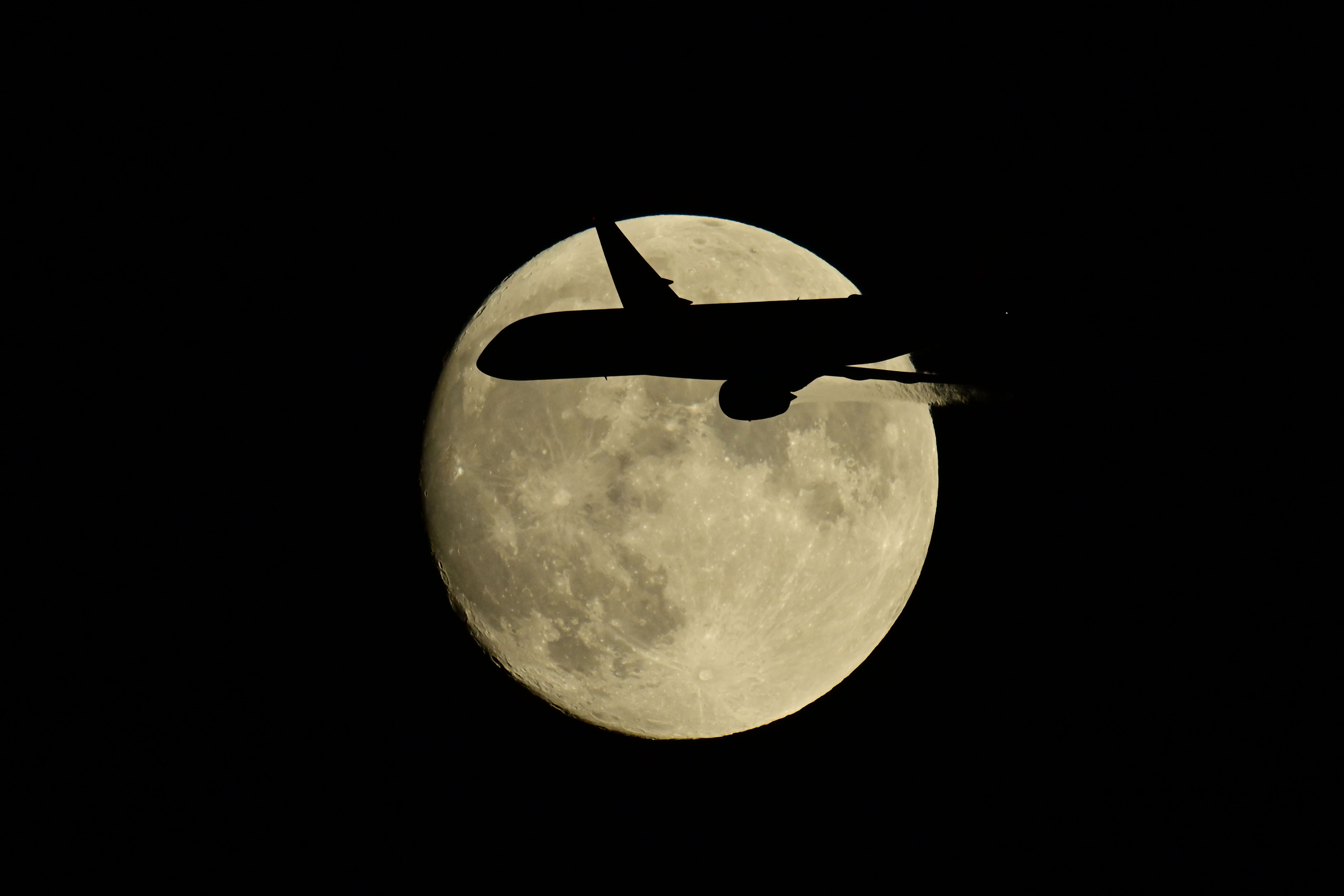 <span class="fnt-85">D6 / AF-S NIKKOR 800mm f/5.6E FL ED VR＋AF-S TELECONVERTER TC-20E III（1,600mm） / マニュアル露出（1/4,000秒・F11） / ISO 6400、三脚使用</span>