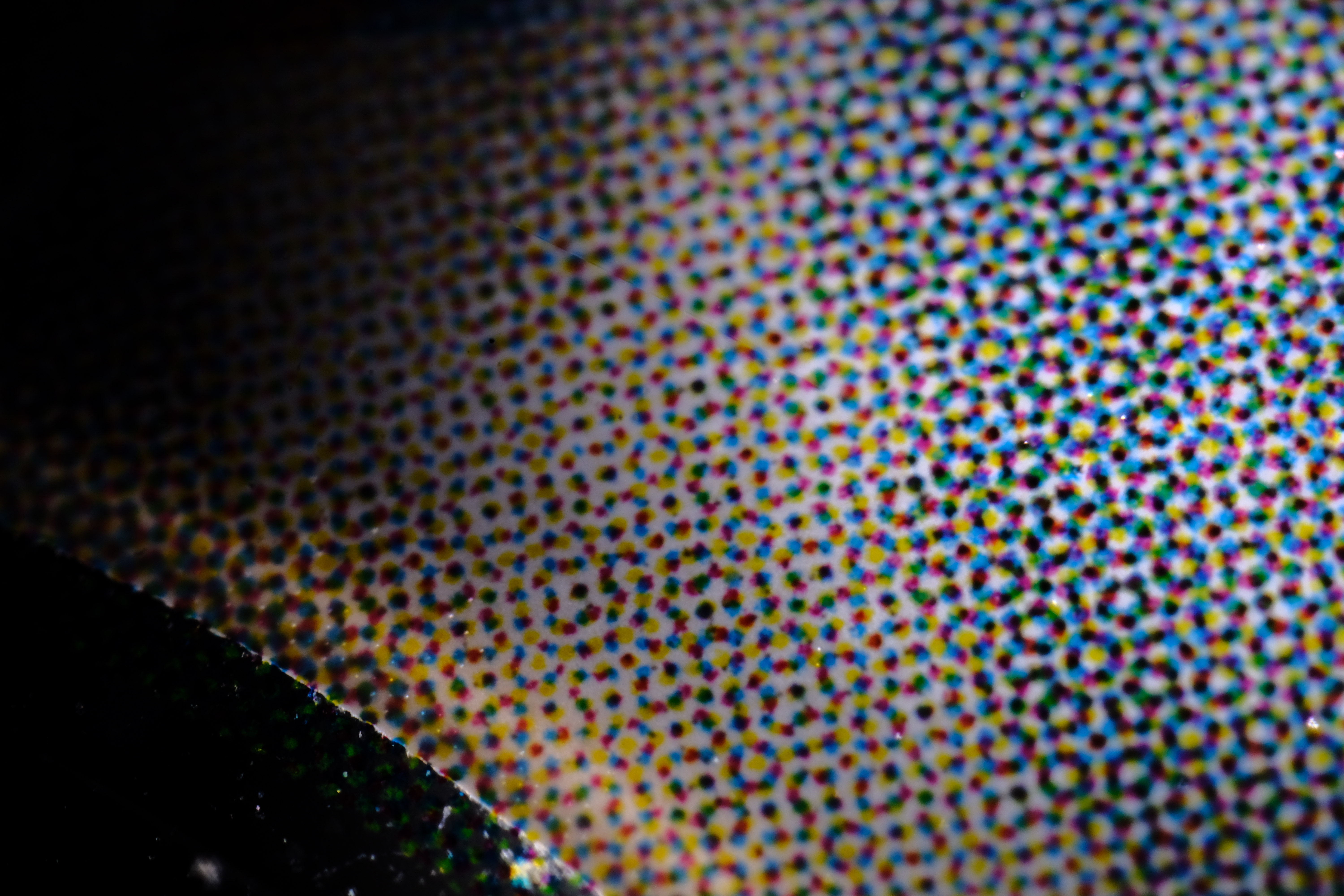 <span class="fnt-85">X-H1 / FREEWALKER 20mm F2.0 SUPER MACRO 4-4.5:1（35mm判換算：30mm相当） / 絞り優先AE（F5.6・1/75秒・-0.7EV） / ISO 400</span>