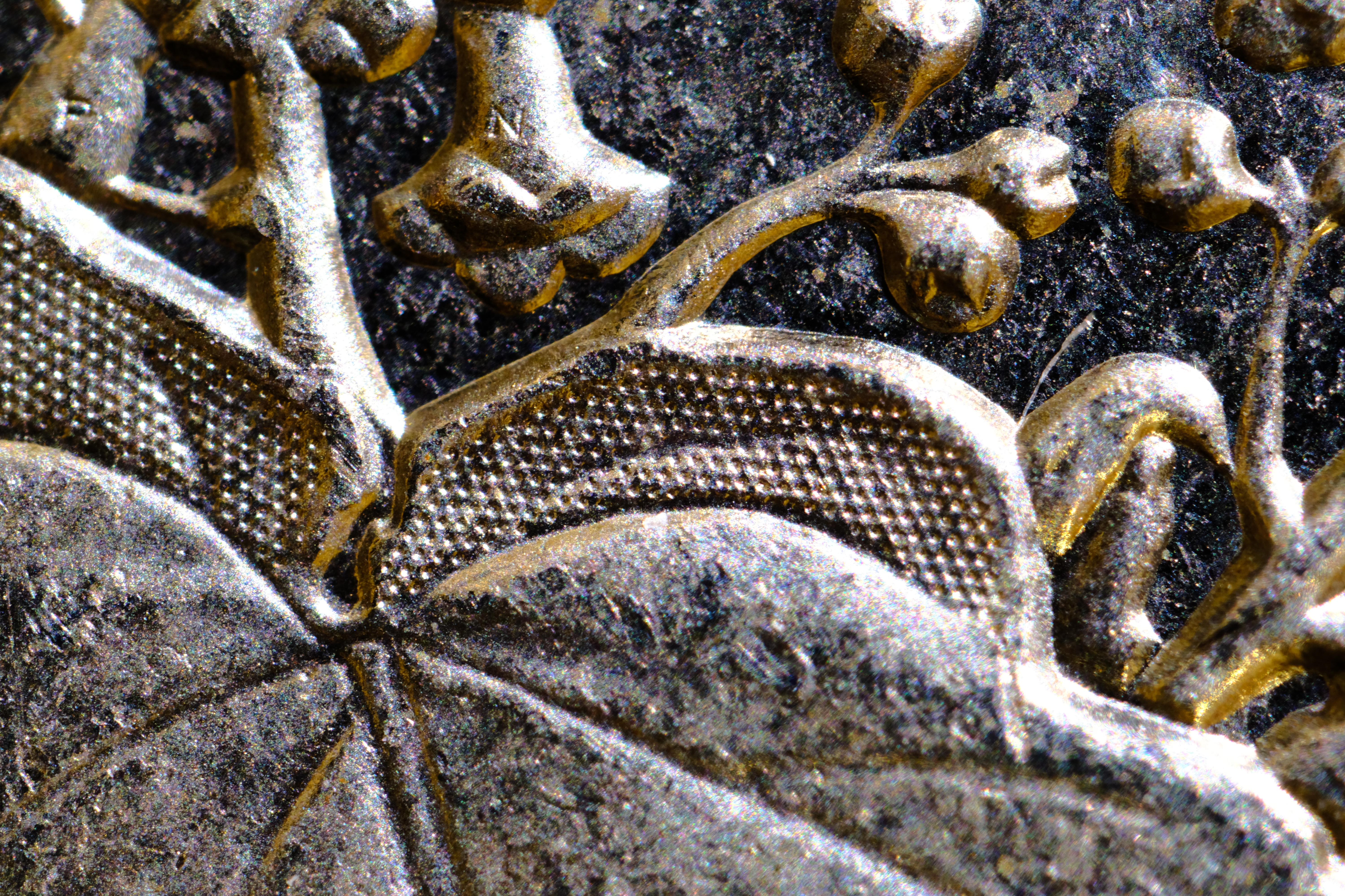 <span class="fnt-85">X-H1 / FREEWALKER 20mm F2.0 SUPER MACRO 4-4.5:1（35mm判換算：30mm相当） / 絞り優先AE（F8・0.7秒・-0.7EV） / ISO 640</span>