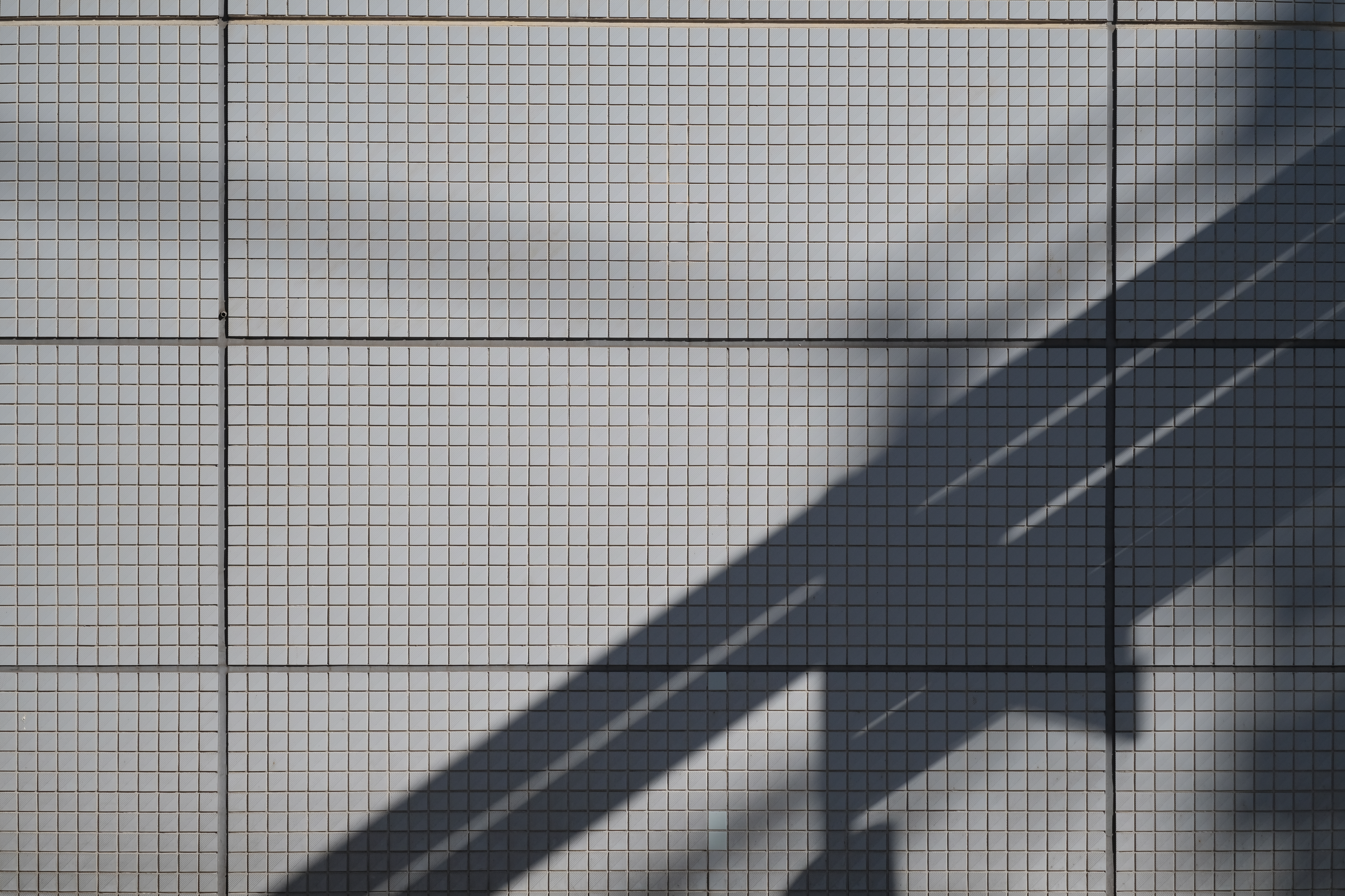 <span class="fnt-85">X-H1 / LAOWA 65ｍｍ F2.8 2× Ultra Macro APO（35mm判換算：98mm相当） / 絞り優先AE（F2.8・1/4,000秒・+0.3EV） / ISO 400</span>