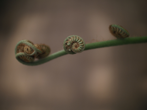 赤城耕一の「アカギカメラ」 第14回：F0.8がもたらしたもの。SUPER