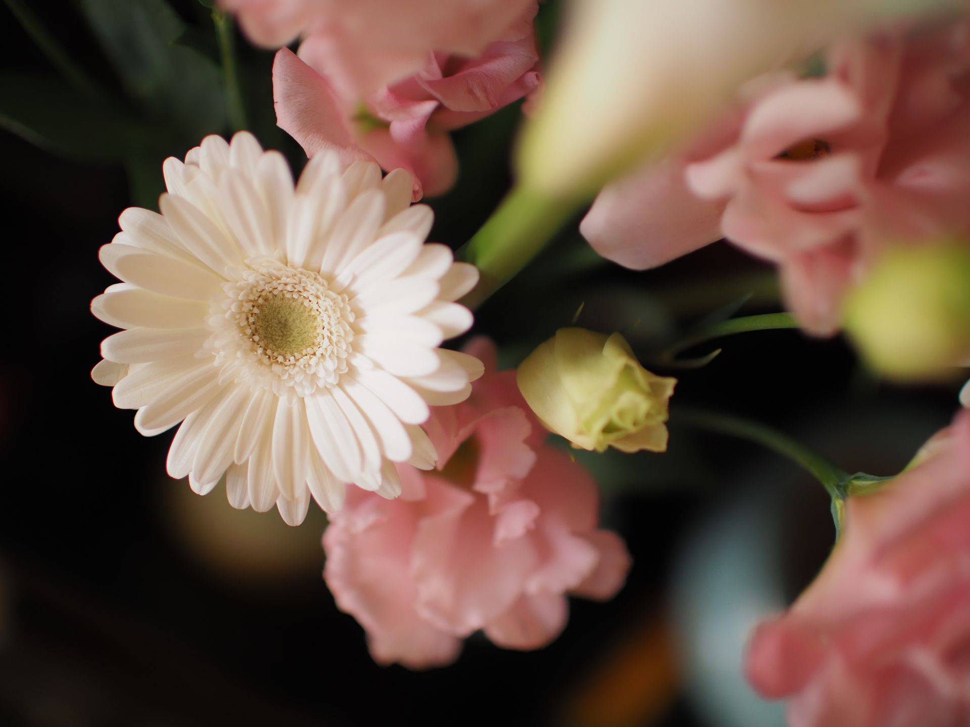仏花ですが、朝の光がよかったので簡単に撮影してみました。手前のボケも背景のボケも良い感じで、邪魔なものを吹っ飛ばす感じです。テーブルフォトなどにも向いたレンズですね。<br>OM-D E-M1 Mark II　SUPER NOKTON 29mm F0.8 Aspherical（F0.8・1/400秒）ISO 400
