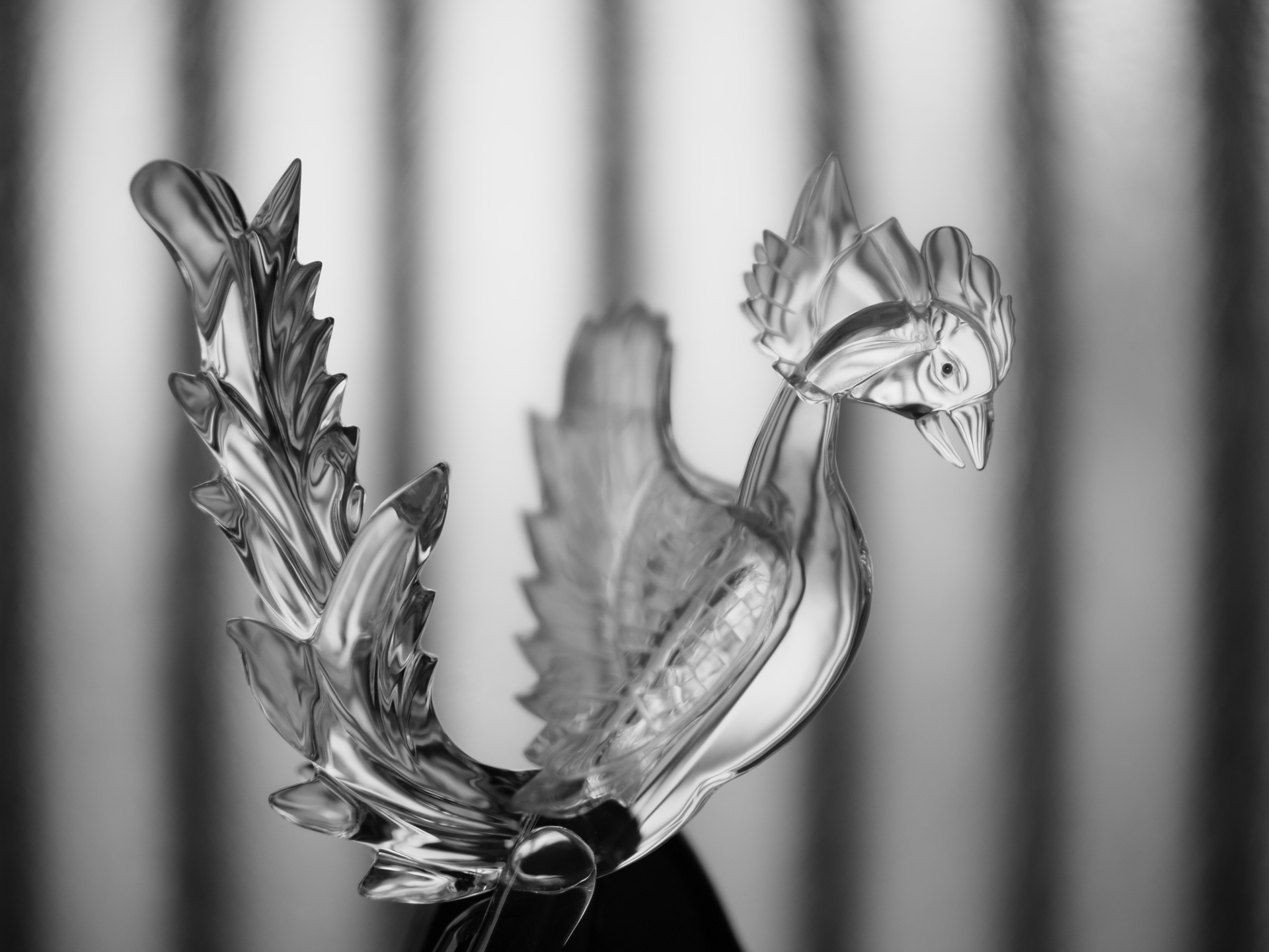 モノトーンに設定して、窓を背景に逆光でのガラスの透明感の再現をみてみました。エッジの再現もよく高品位な描写です。背景の格子も良い感じに癖なくボケています。<br>OM-D E-M1 Mark II　SUPER NOKTON 29mm F0.8 Aspherical（F0.8・1/8,000秒）ISO 200