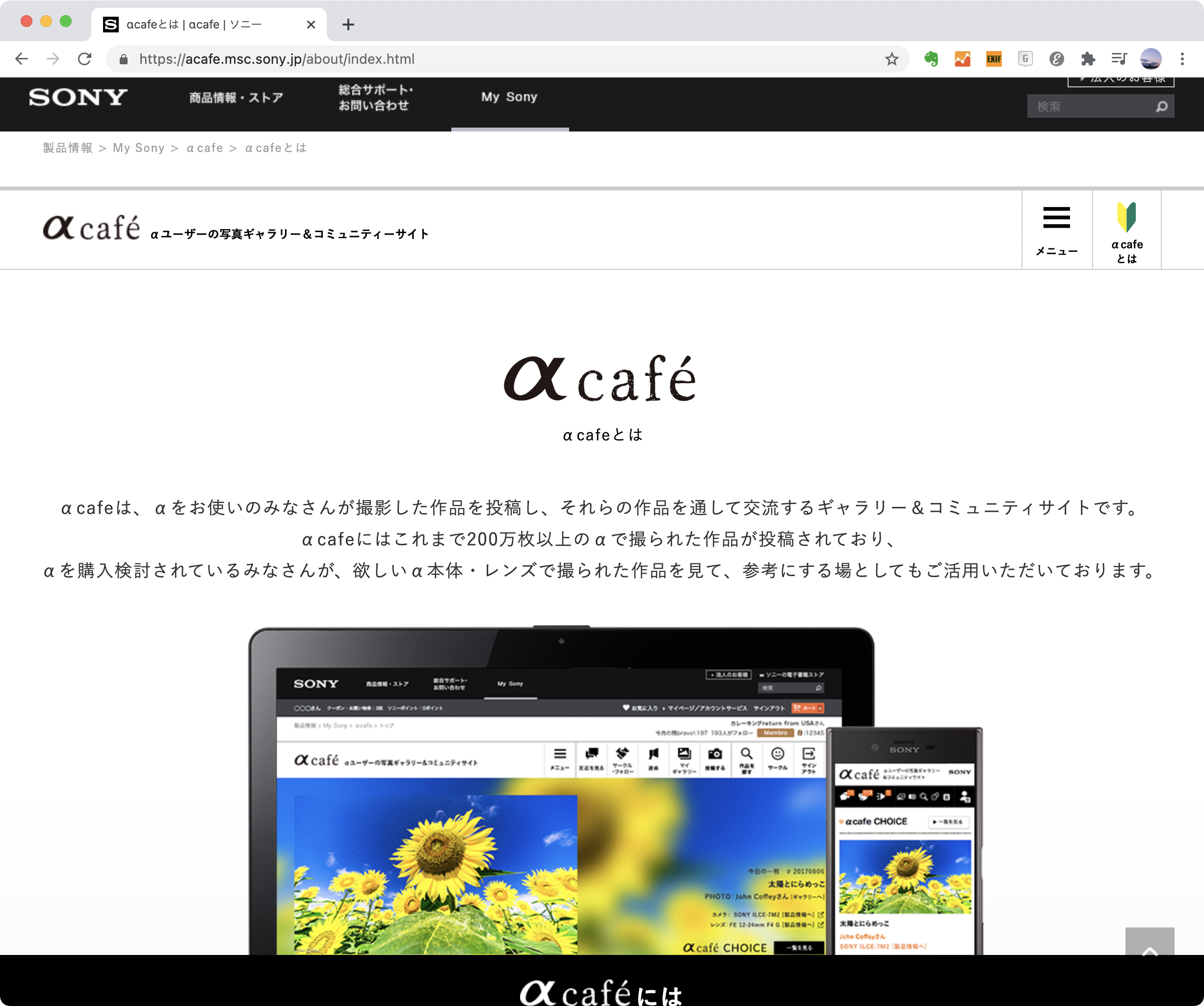 αで撮影された力作が揃う写真投稿サイト「α café」。第10回スペシャルコンテストの結果は……CP+2021 ONLINE ソニーブースで！	https://acafe.msc.sony.jp/about/index.html