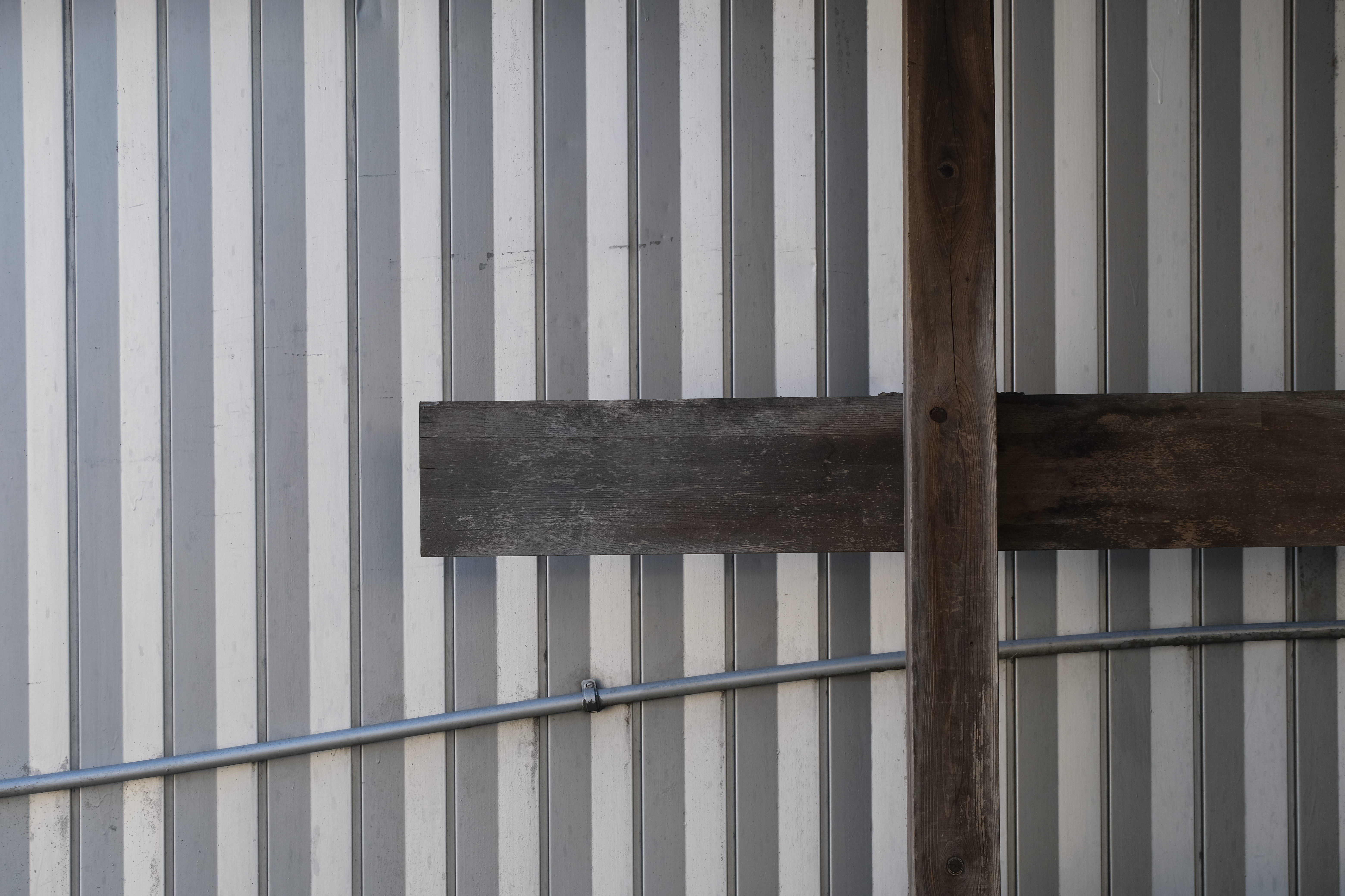 <span class="fnt-85">X-T4 / XF70-300mmF4-5.6R LM WR OIS（70mm：105mm相当） / 絞り優先AE（F8・1/110秒・±0EV） / ISO 400</span>