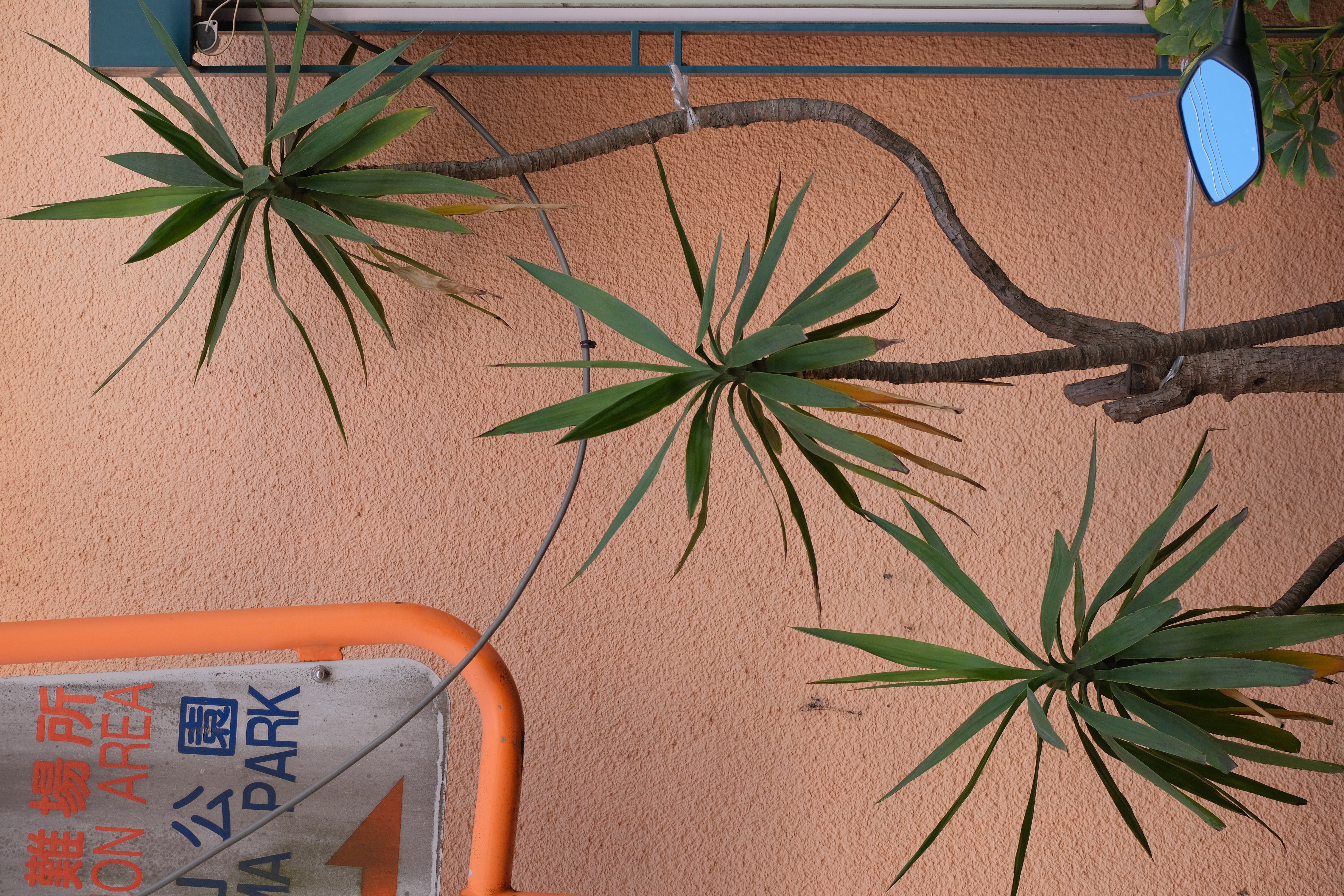 <span class="fnt-85">X-T4 / XF70-300mmF4-5.6R LM WR OIS（70mm：105mm相当） / プログラムAE（F5.6・1/350秒・-0.3EV） / ISO 400</span>