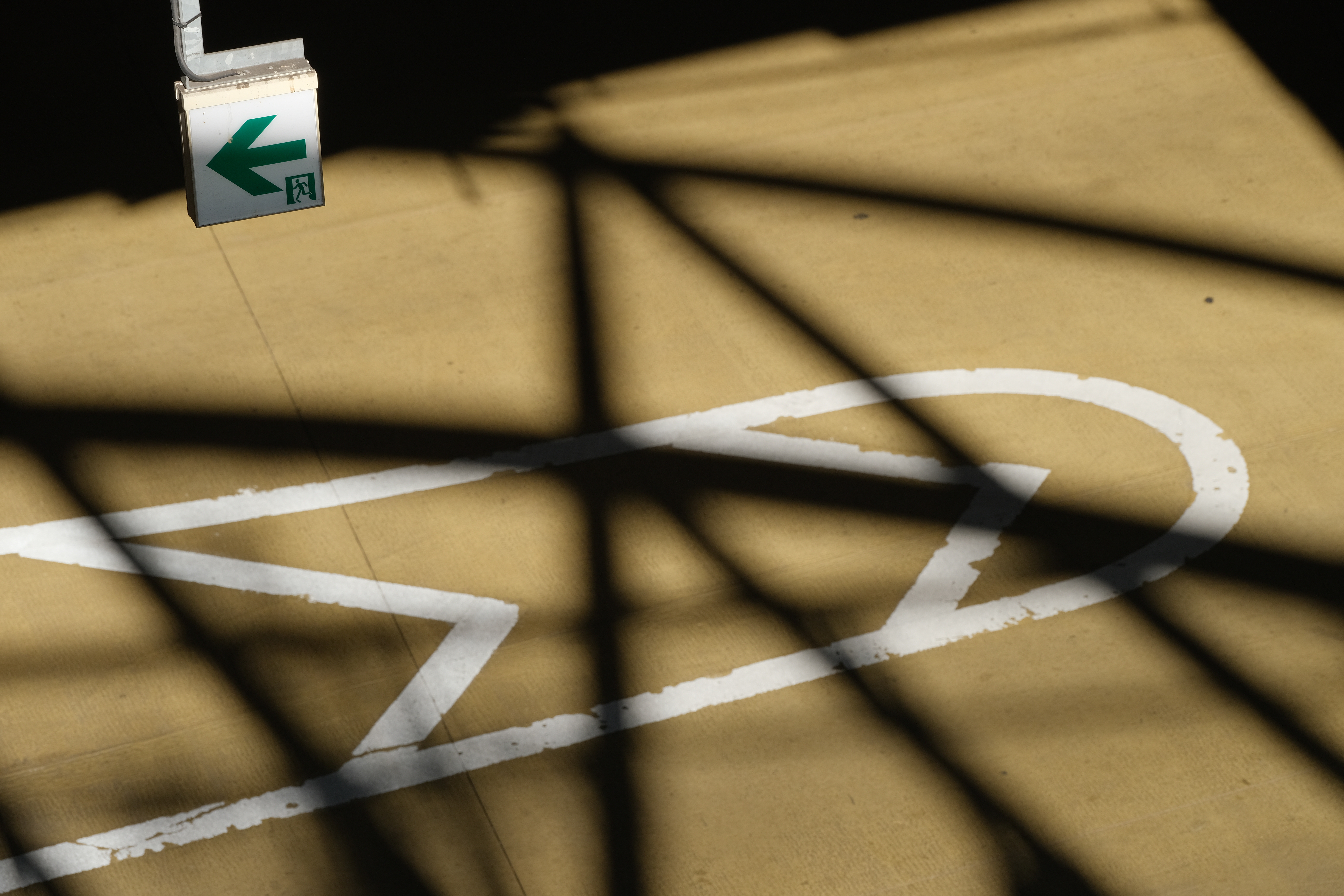 <span class="fnt-85">X-T4 / XF70-300mmF4-5.6R LM WR OIS（105mm：157.5mm相当） / 絞り優先AE（F9・1/450秒・±0EV） / ISO 400</span>